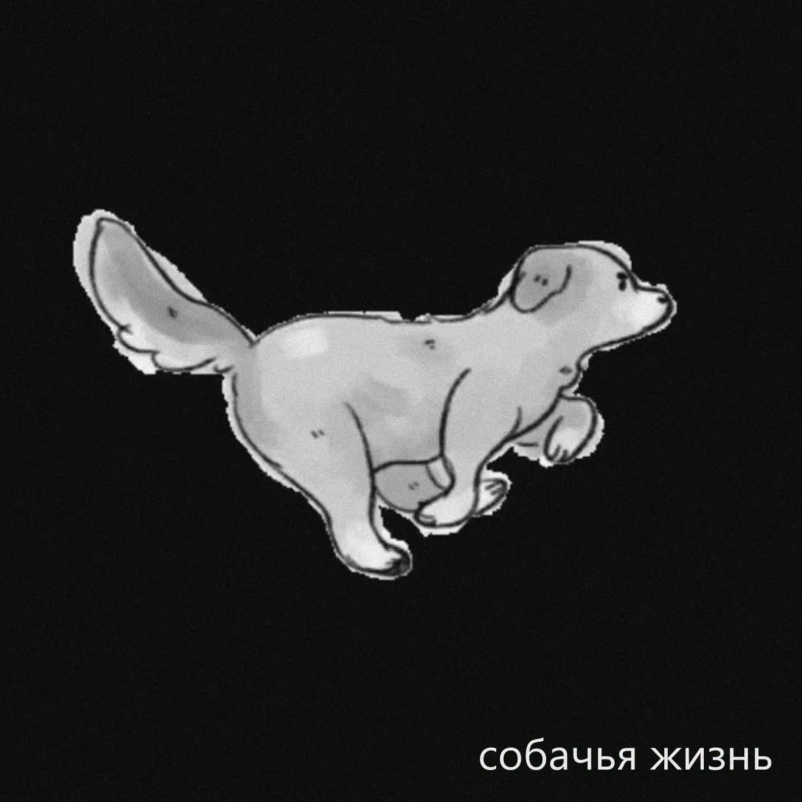 Релиз собачья жизнь