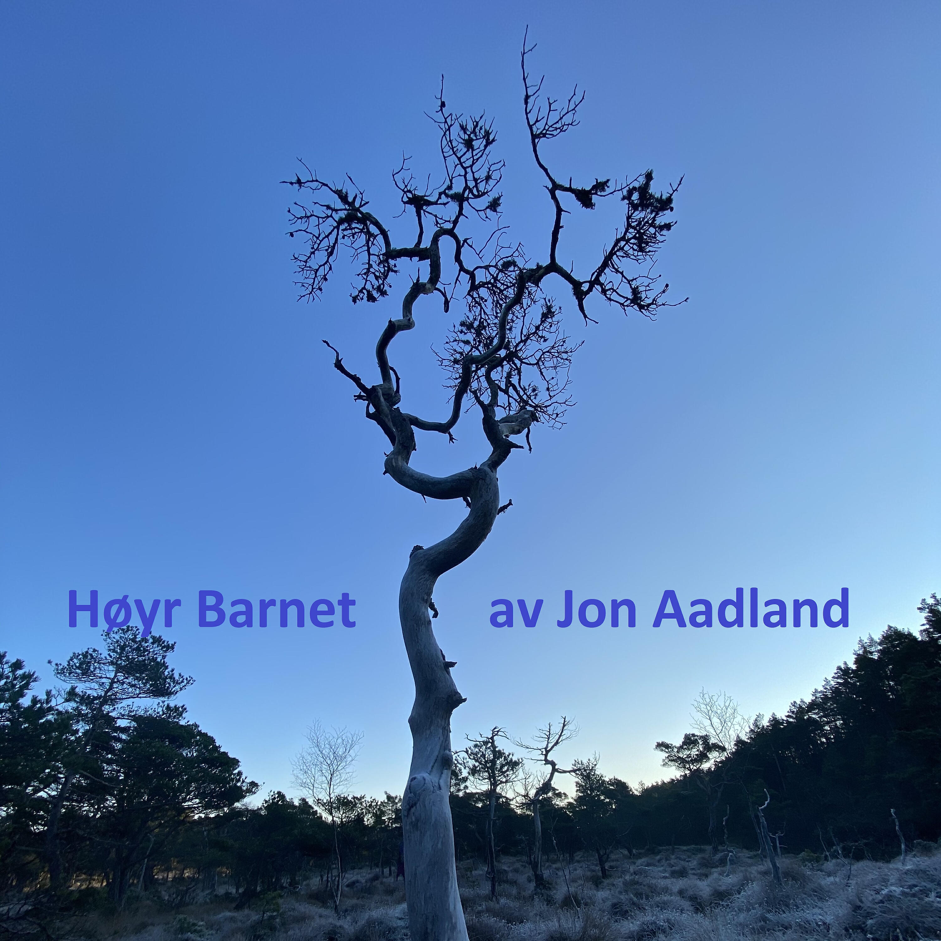 Релиз Høyr barnet