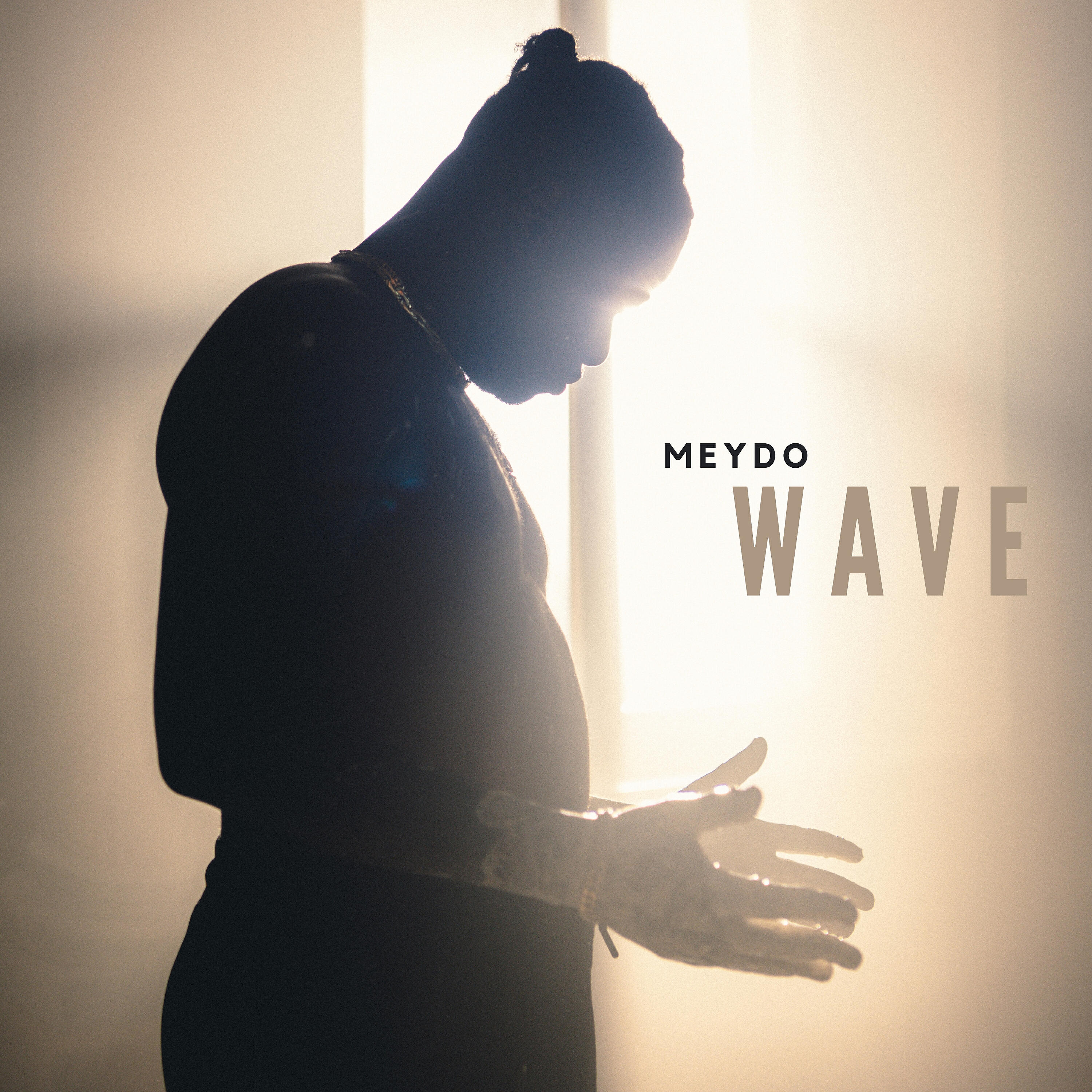 Релиз Wave