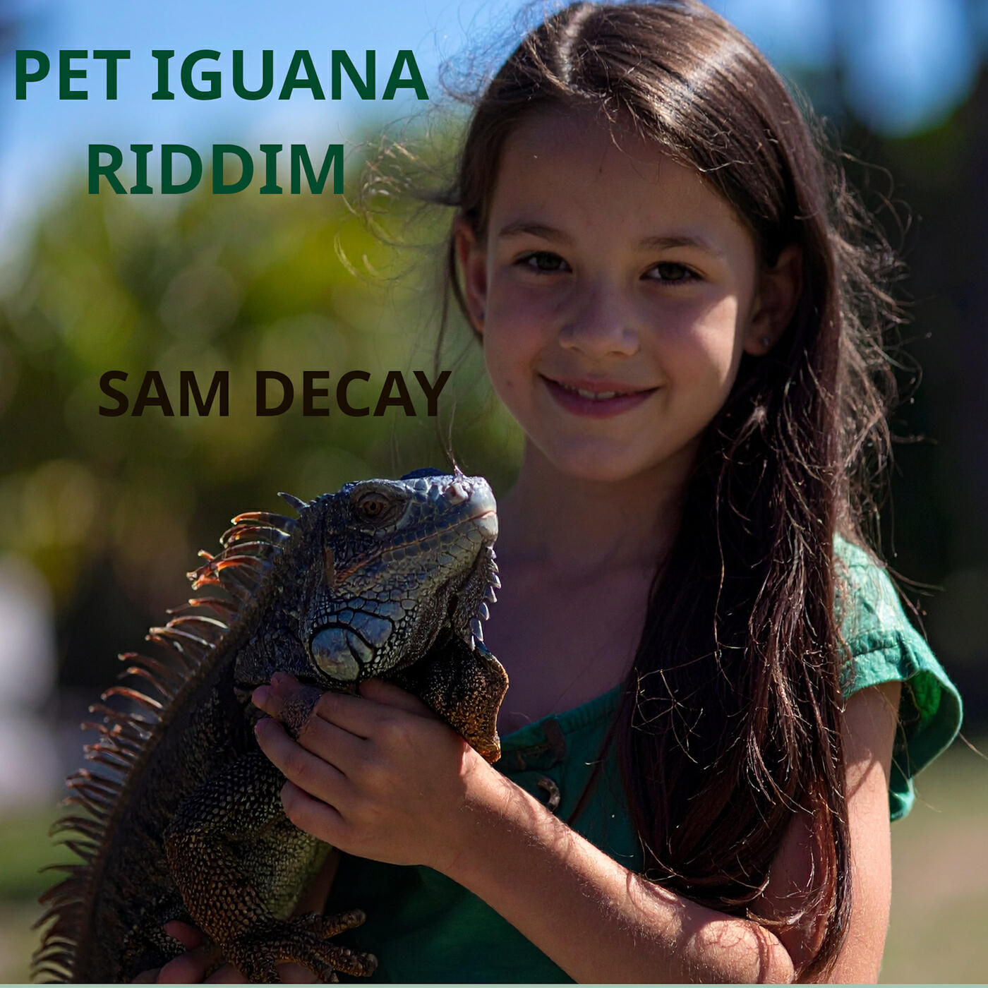 Релиз Pet Iguana Riddim