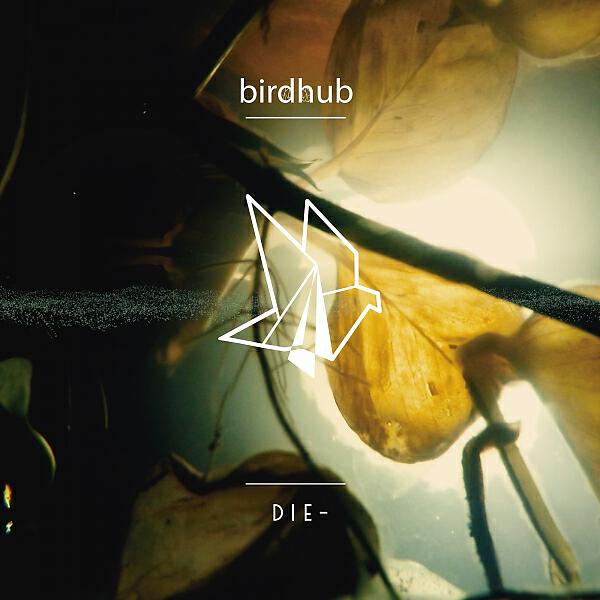 Birdhub