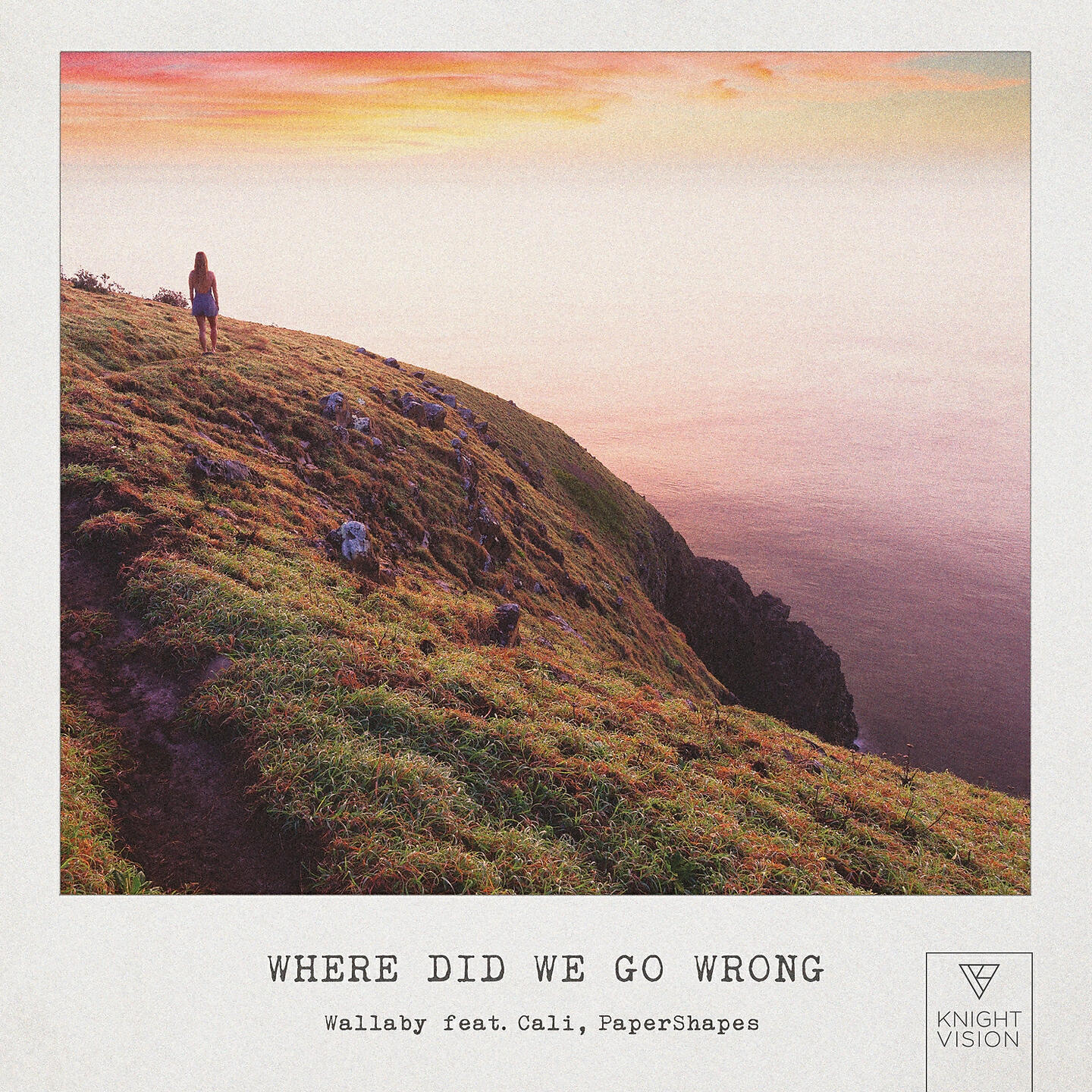Релиз Where Did We Go Wrong (feat. Cali & PaperShapes)