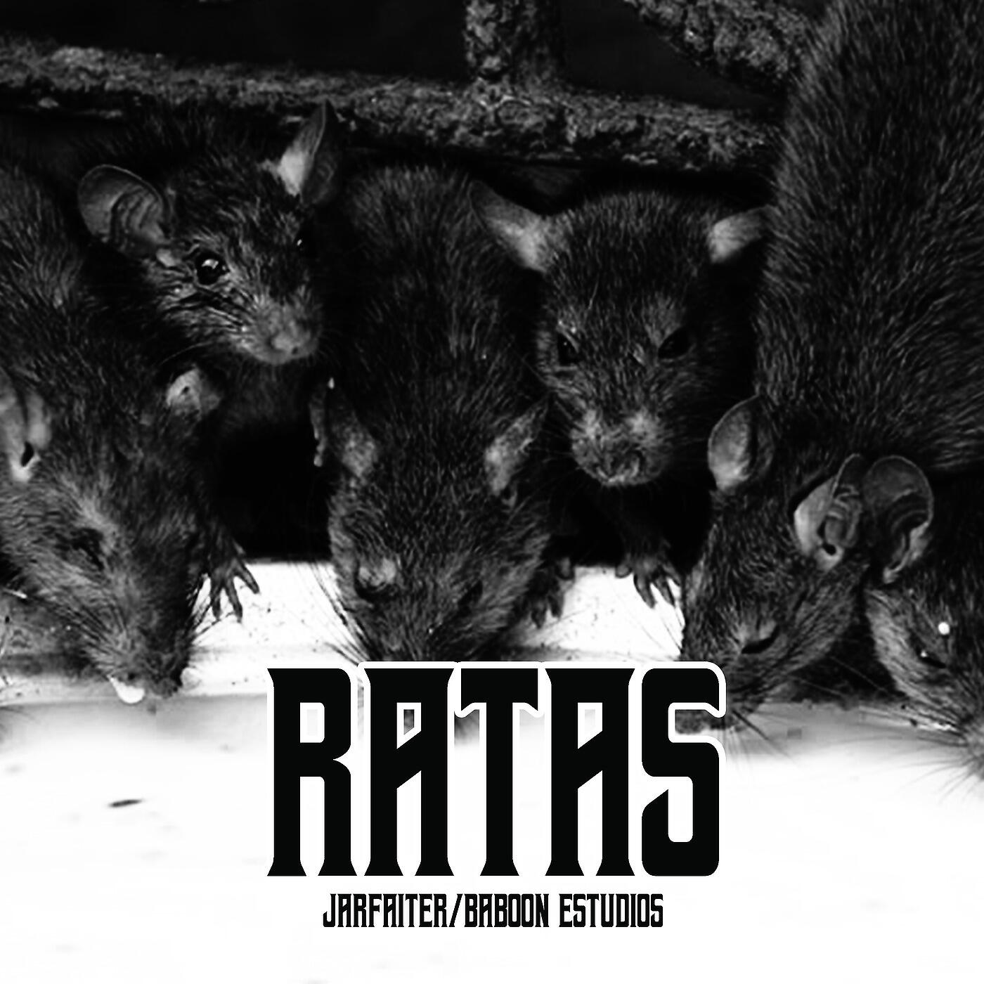 Релиз Ratas