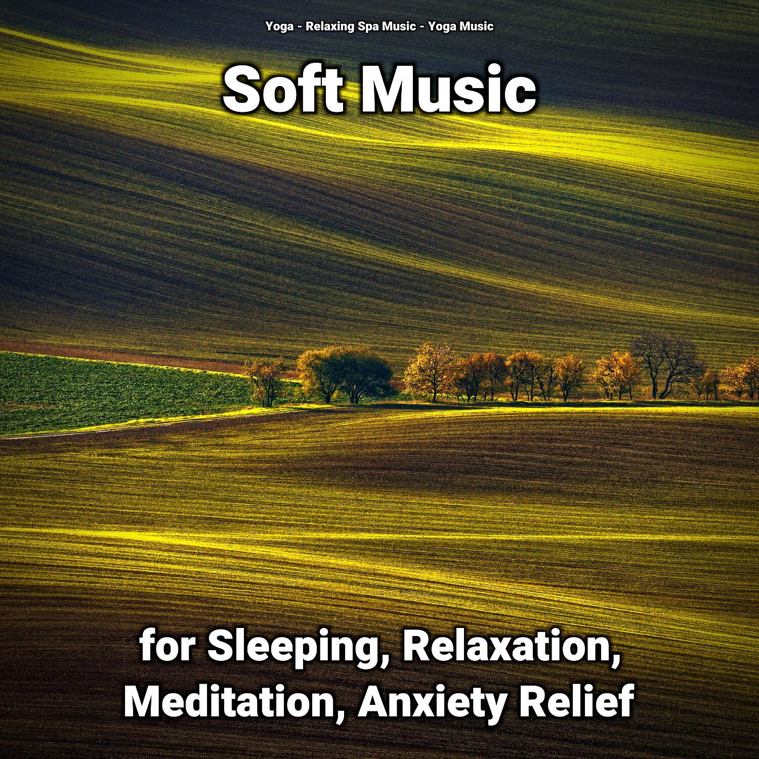 Релиз Soft Music for Sleeping, Relaxation, Meditation, Anxiety Relief