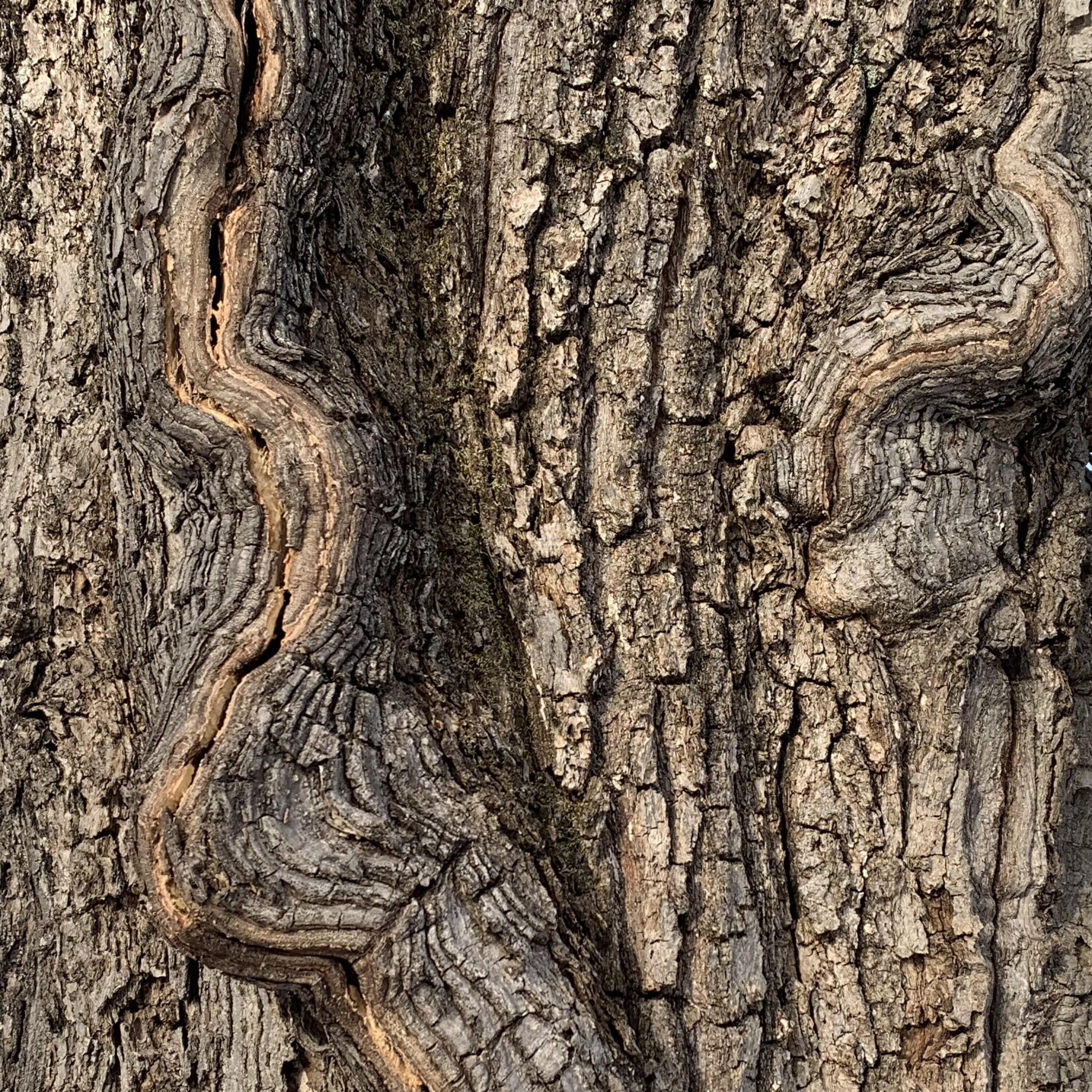 Никита Олещенко-Коржаков