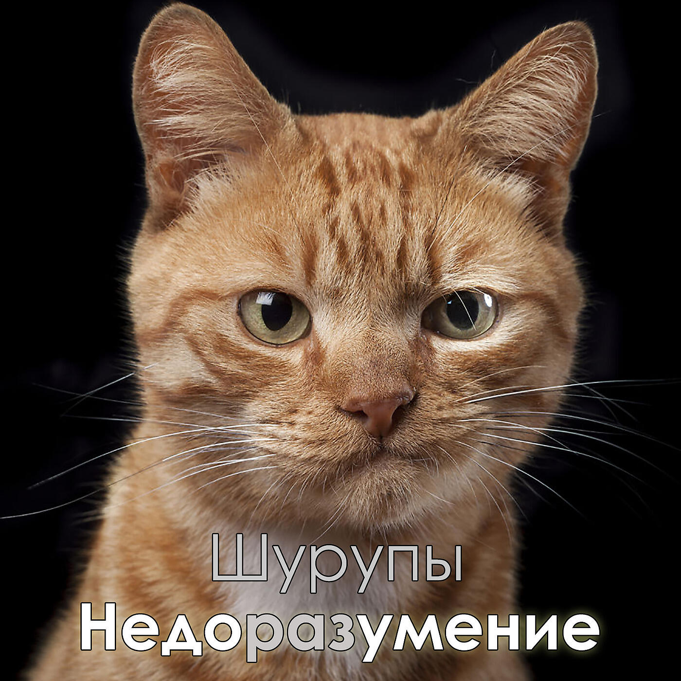 Релиз Недоразумение