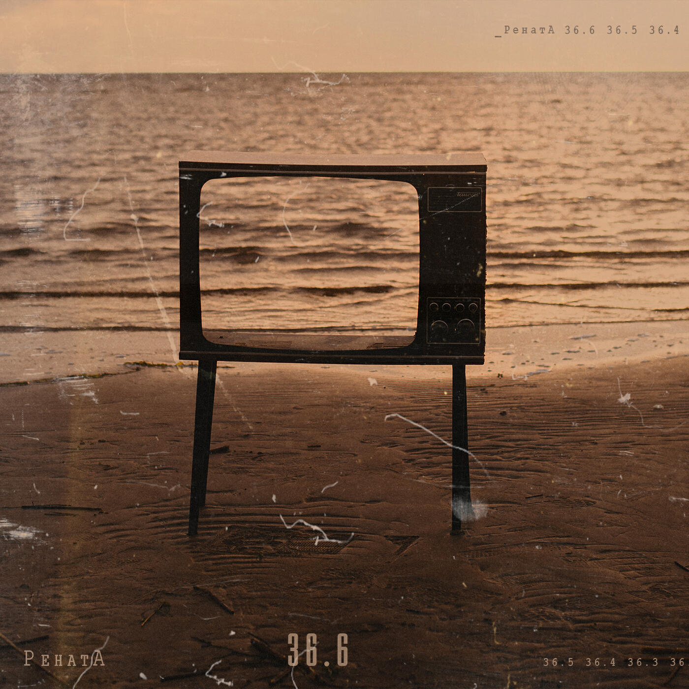 Релиз 36.6