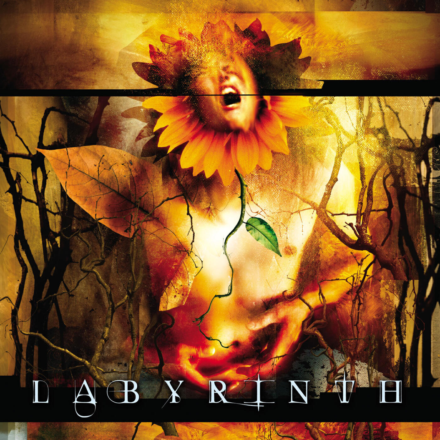 Релиз Labyrinth