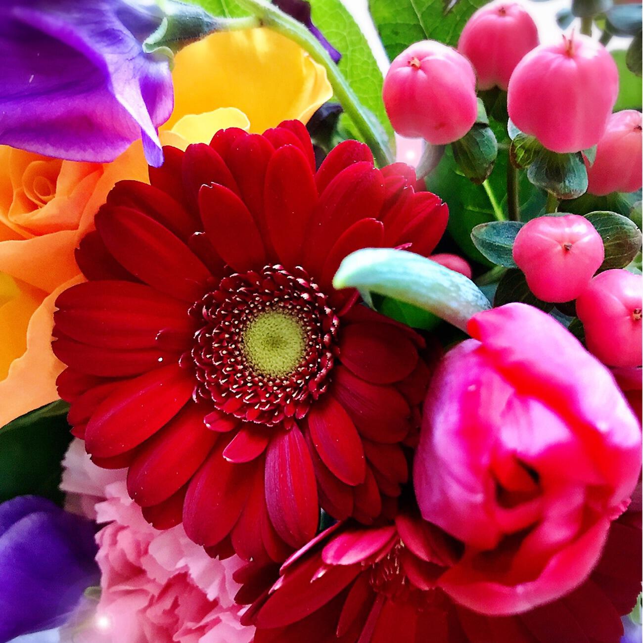 Релиз Time of rest and relaxation