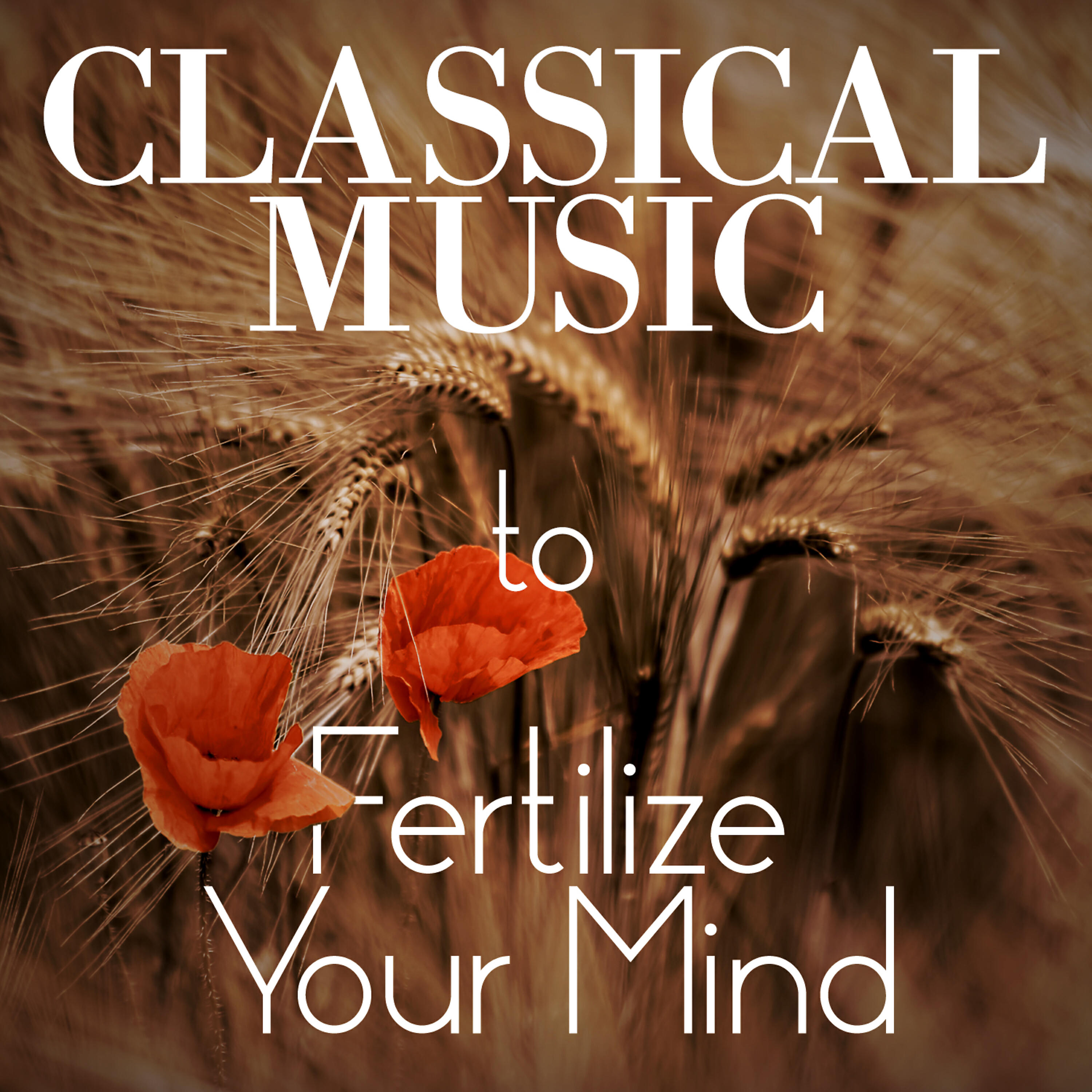 Релиз Classical Music - To Fertilize Your Mind