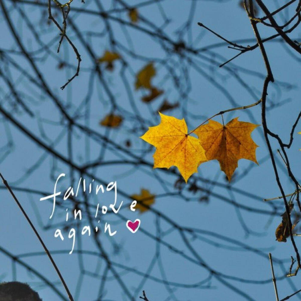 Релиз falling in love again