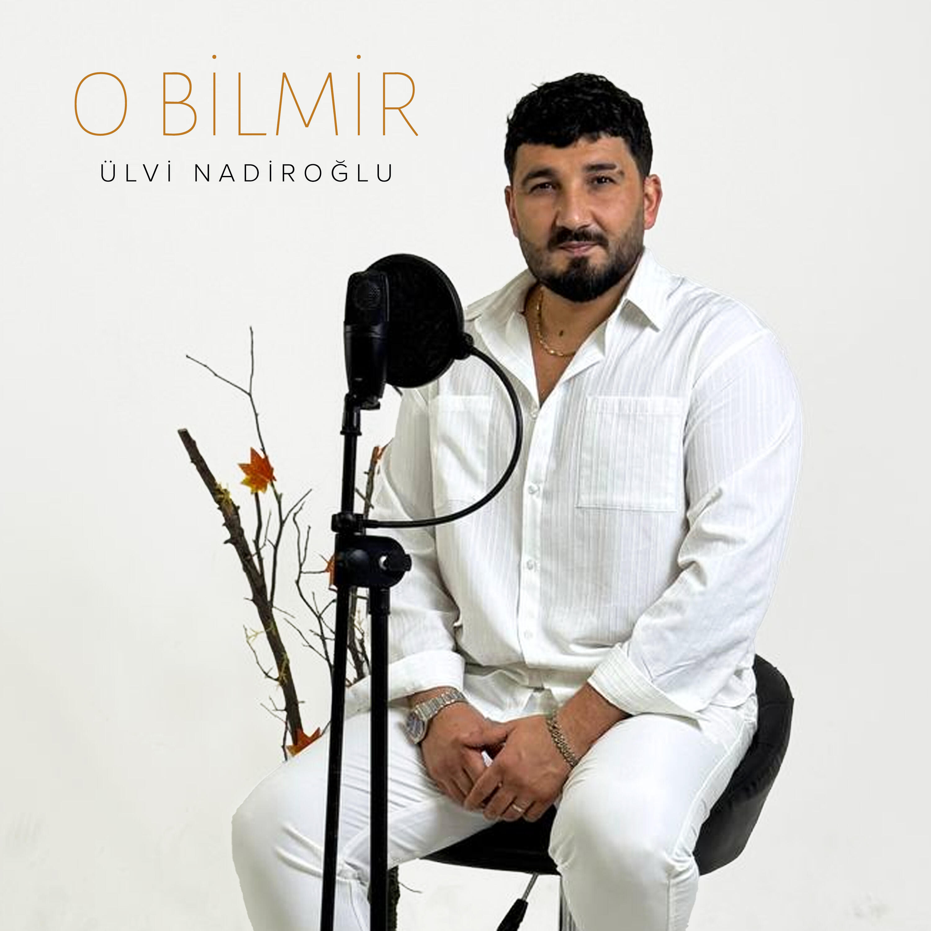 Релиз O Bilmir