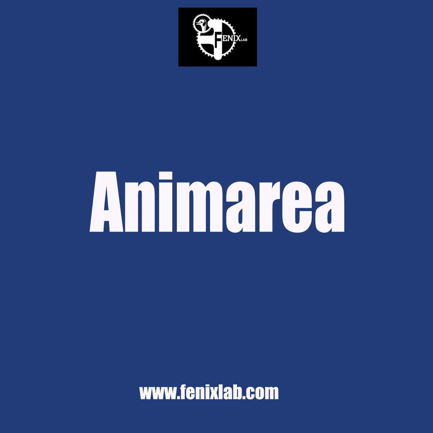 Animarea