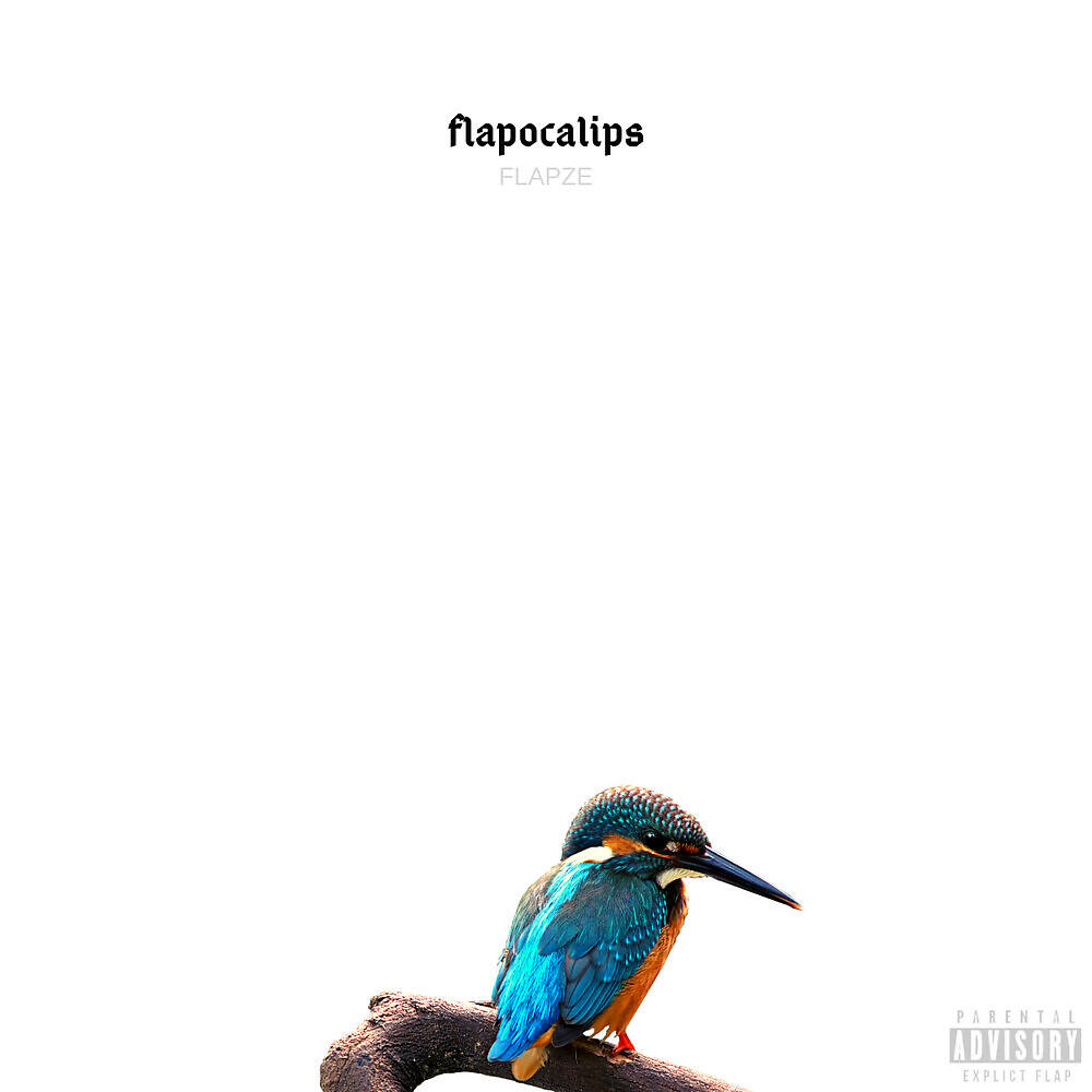 FlapZe