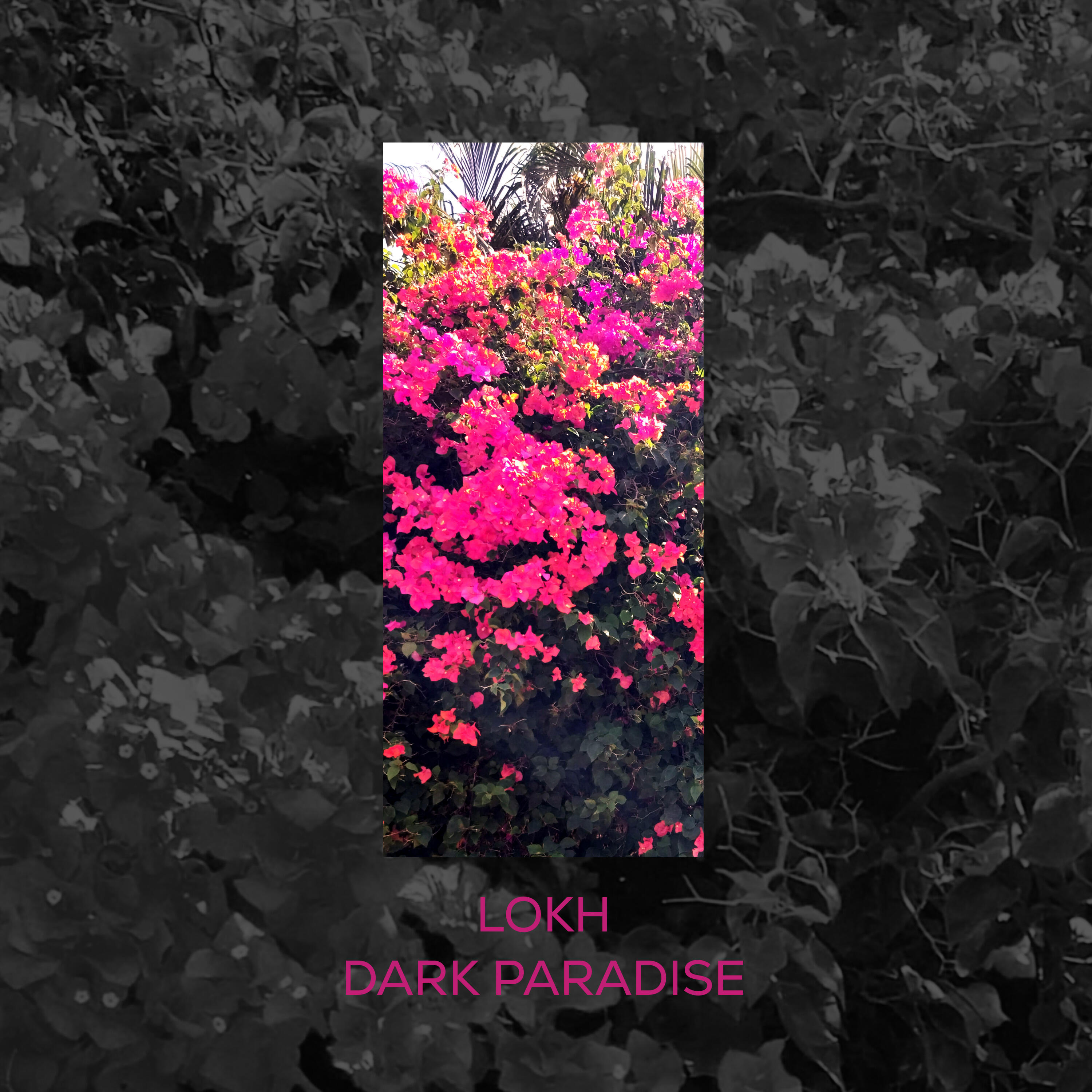 Релиз Dark Paradise