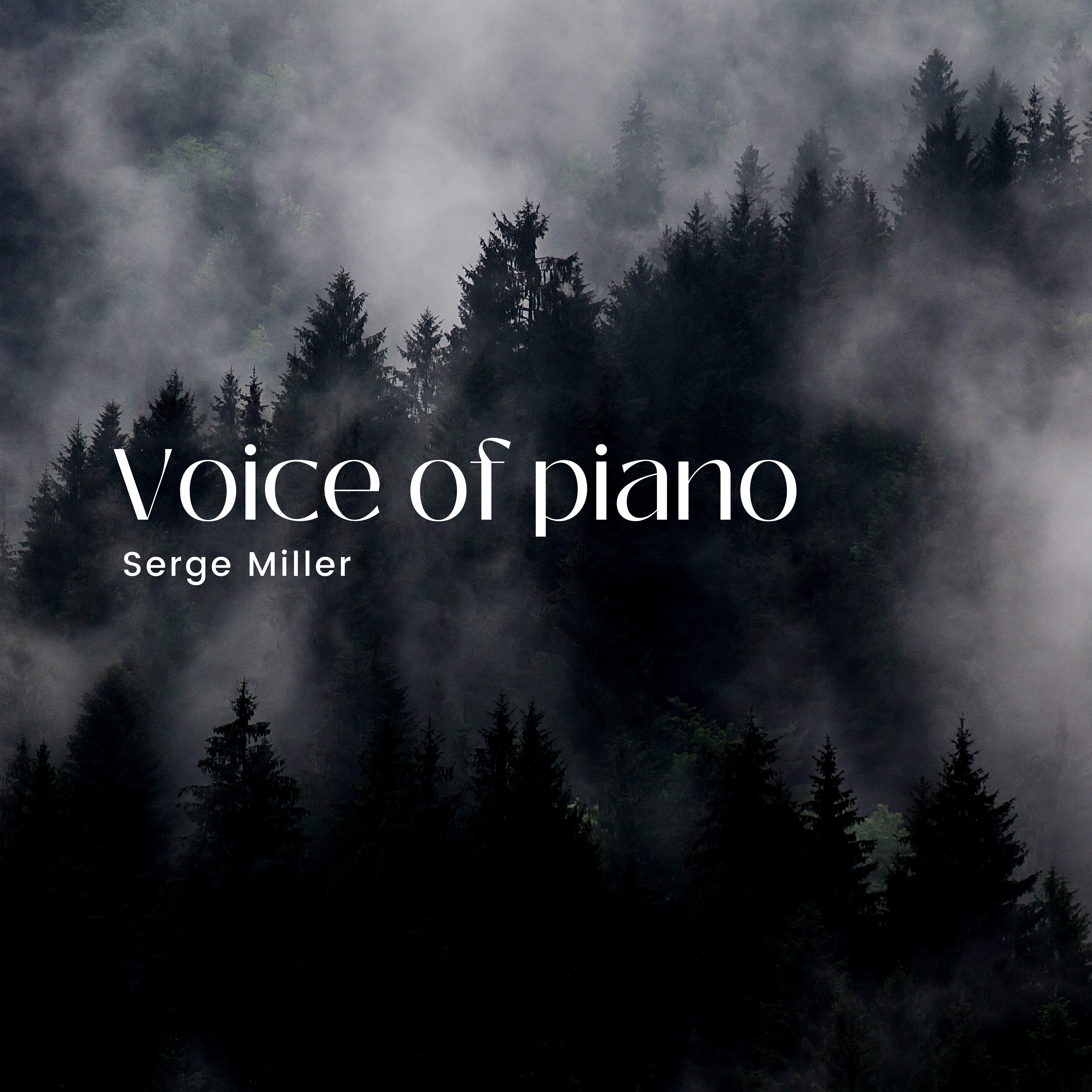 Релиз Voice of Piano