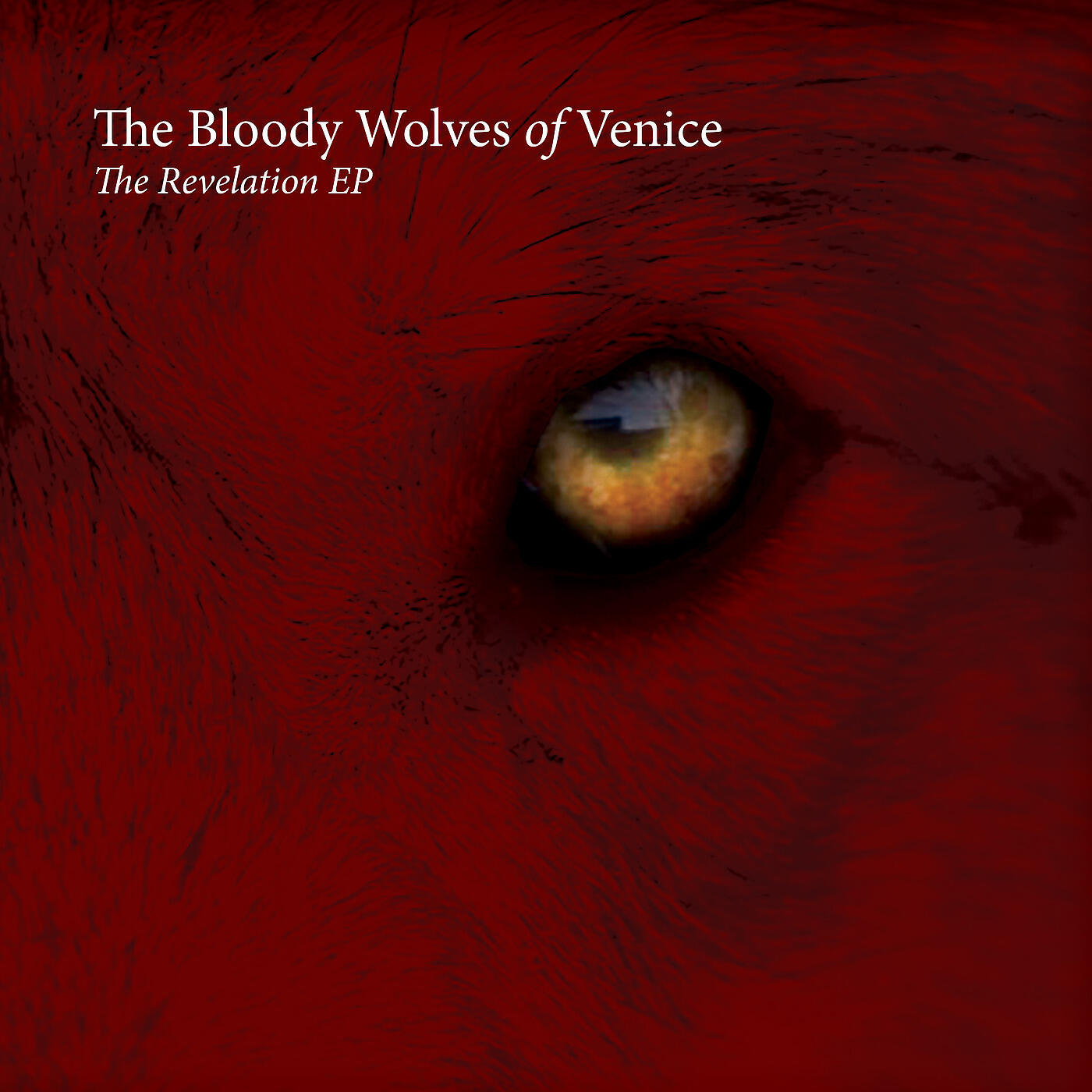 Постер альбома The Revelation EP