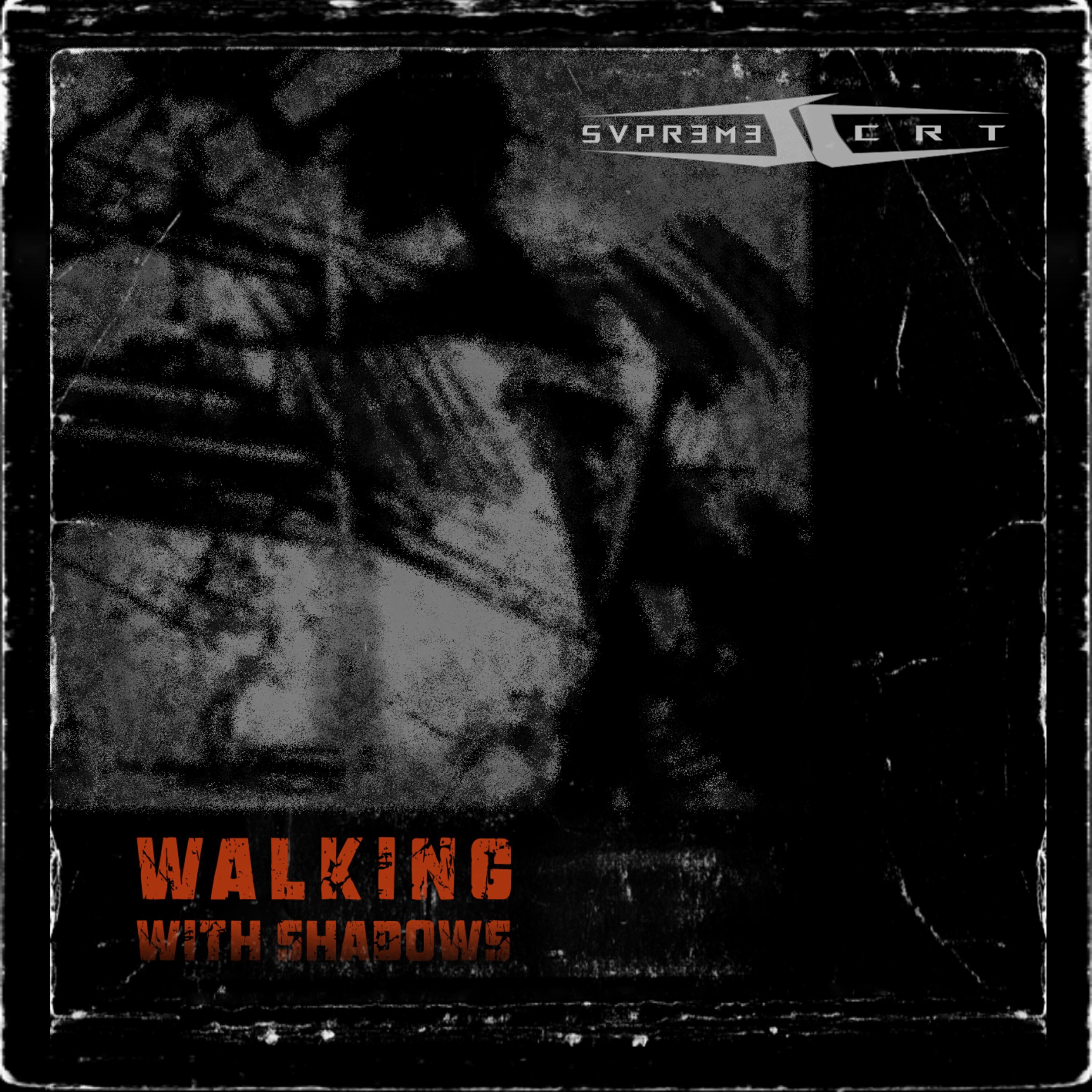 Релиз Walking With Shadows