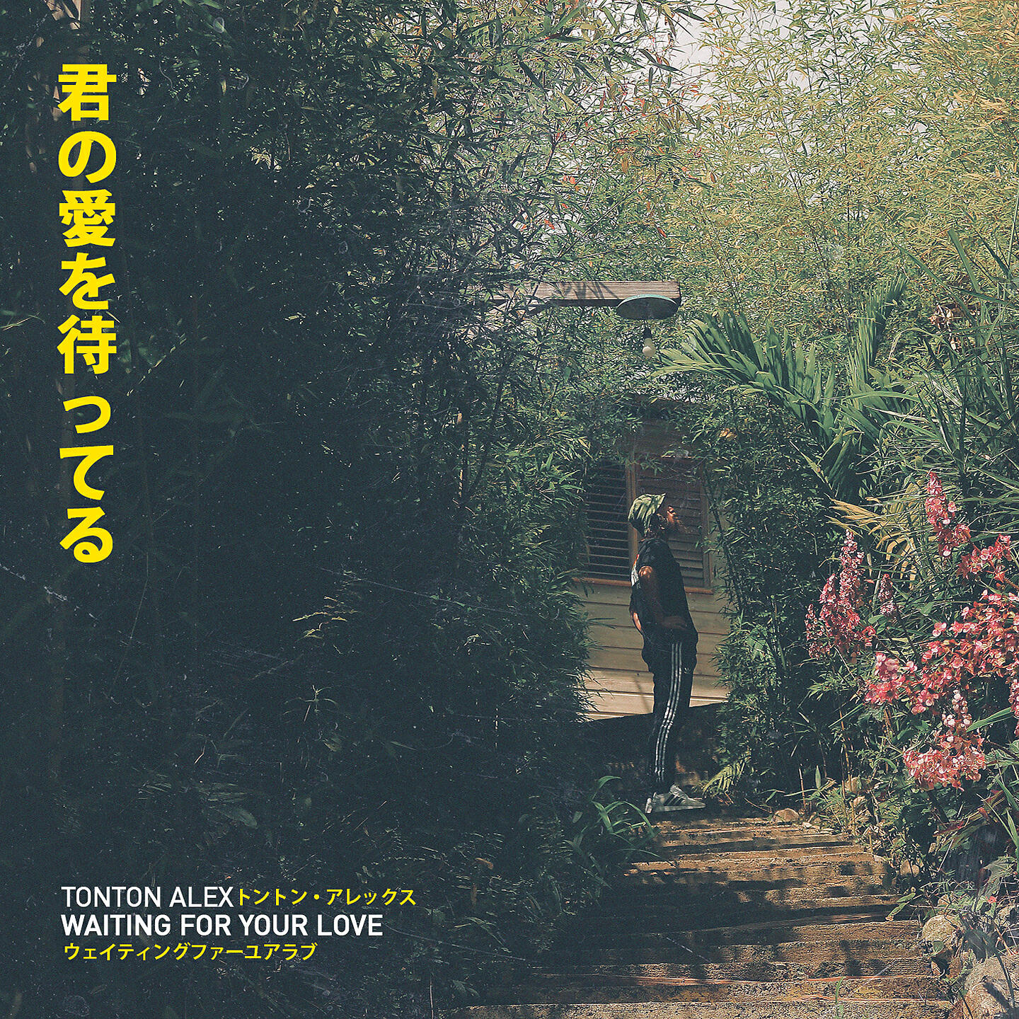 Релиз Waiting For Your Love