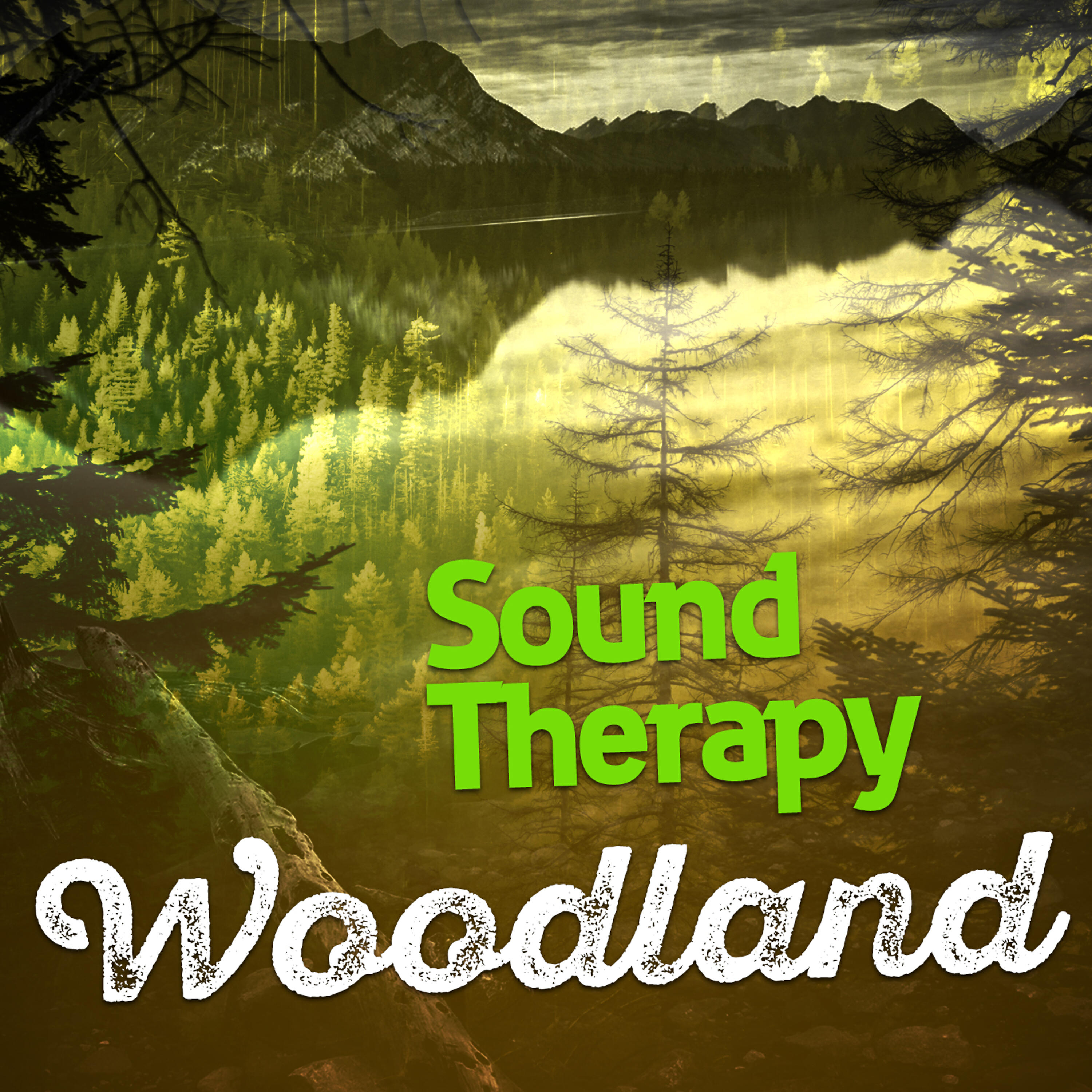 Релиз Sound Therapy: Woodland