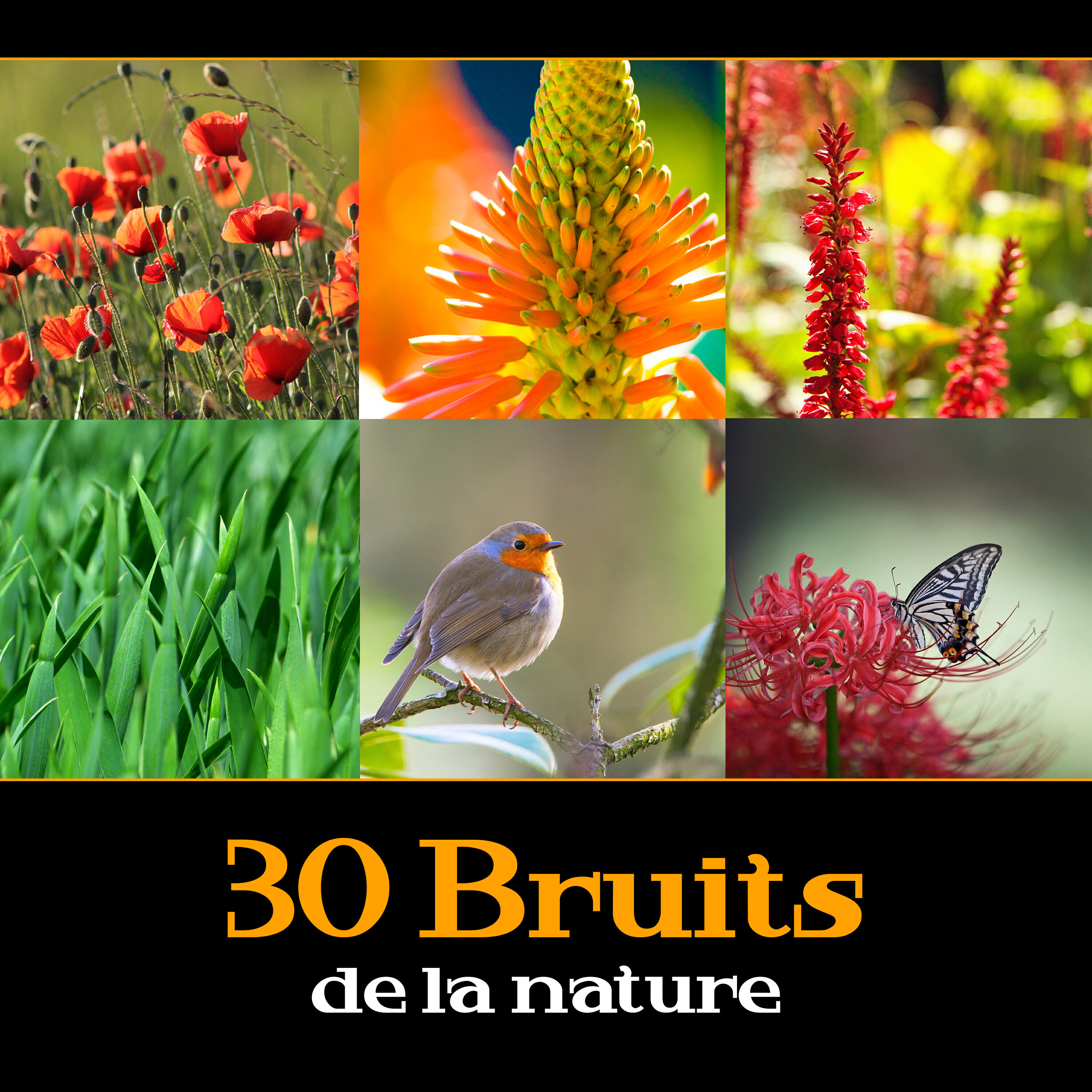 Релиз 30 Bruits de la nature - Ambiance de la forêt avec bruit de l'eau, Vagues de la mer, Jardin sons