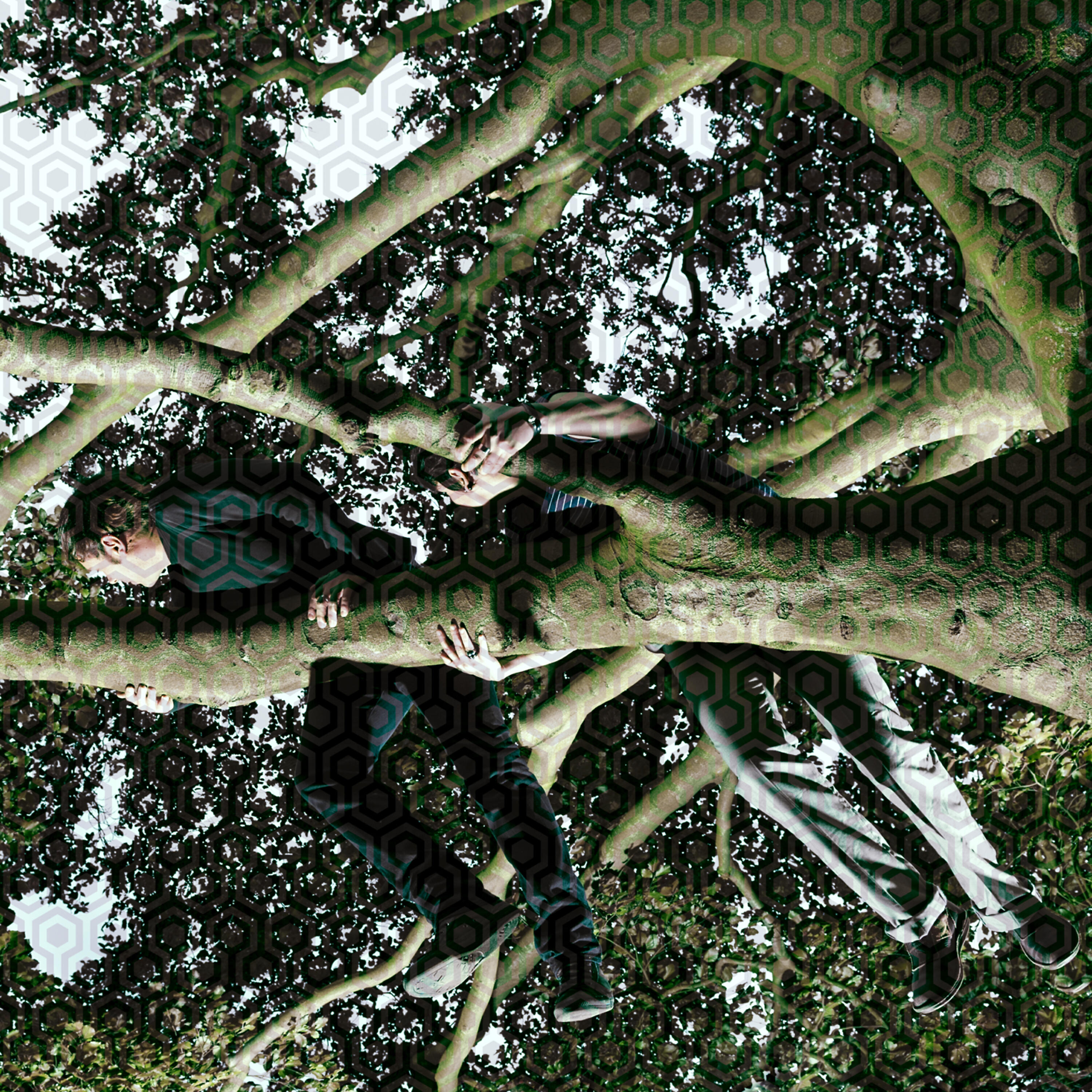 Релиз Lieux-Dits