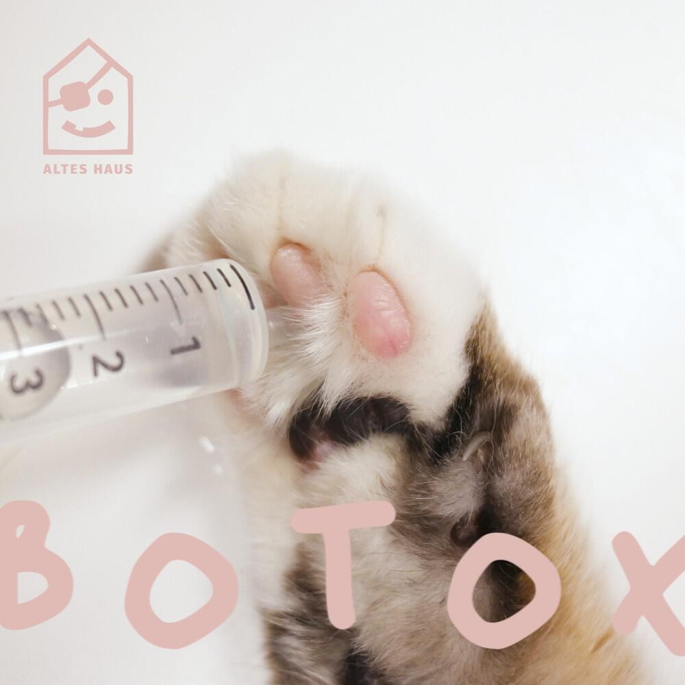 Релиз Botox EP