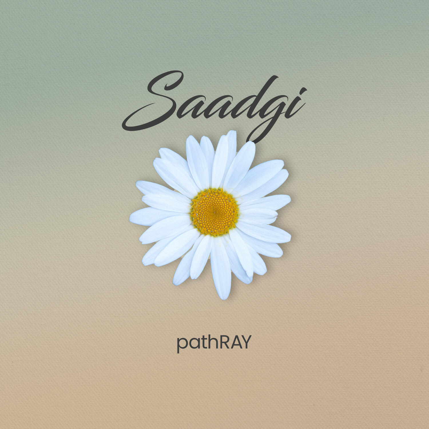 pathRAY