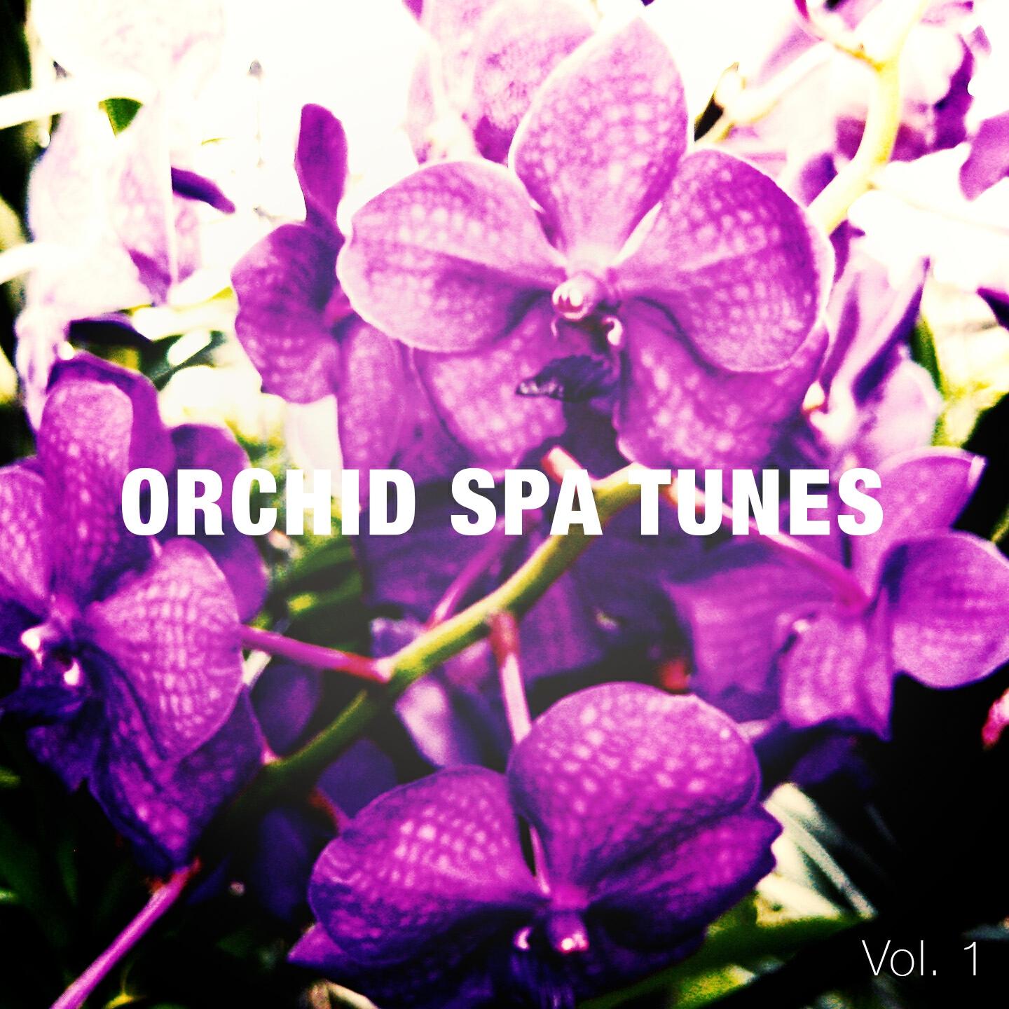 Постер альбома Orchid Spa Tunes