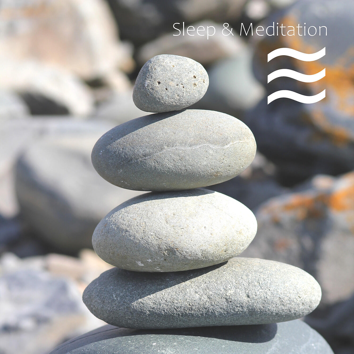 Meditacion Budista Zen