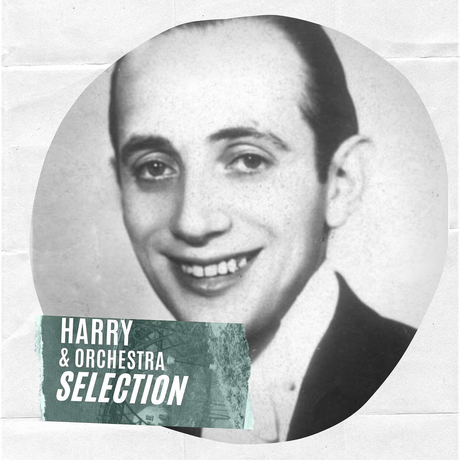 Постер альбома Harry & Orchestra Selection