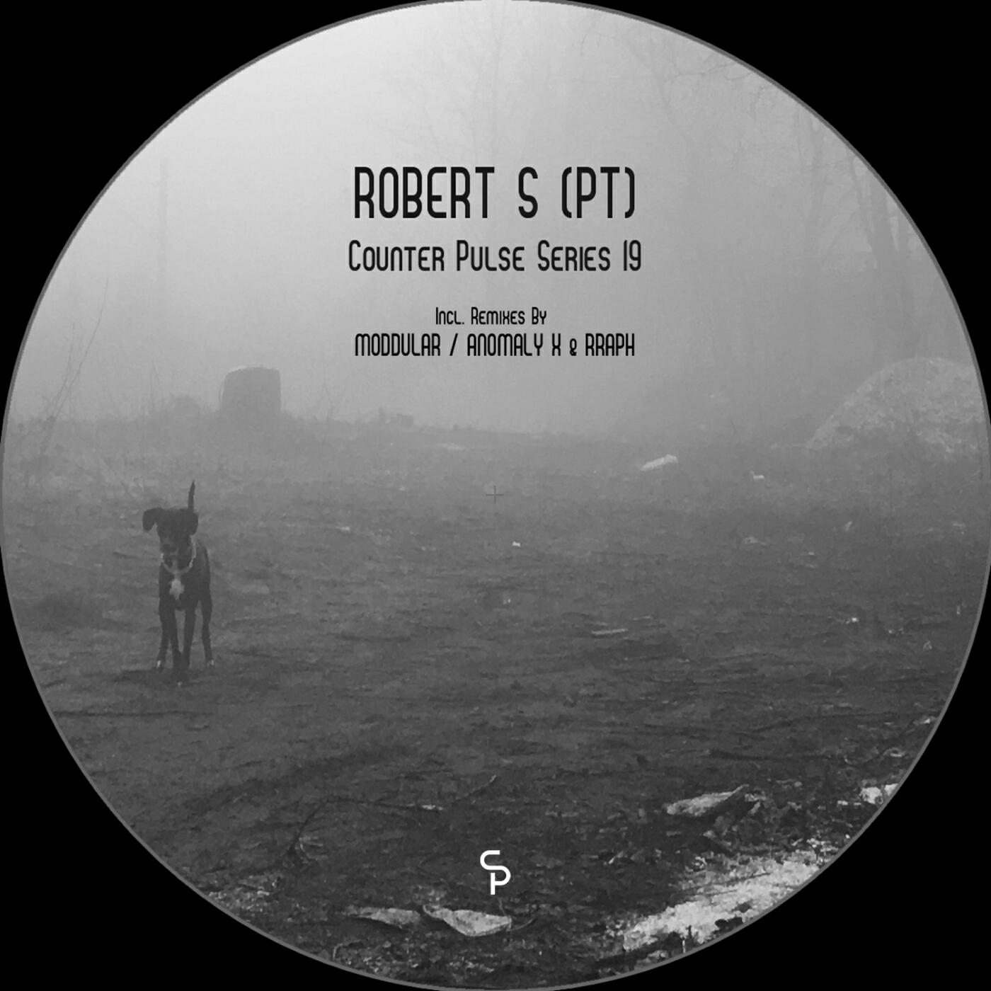 Релиз Counter Pulse Series 19