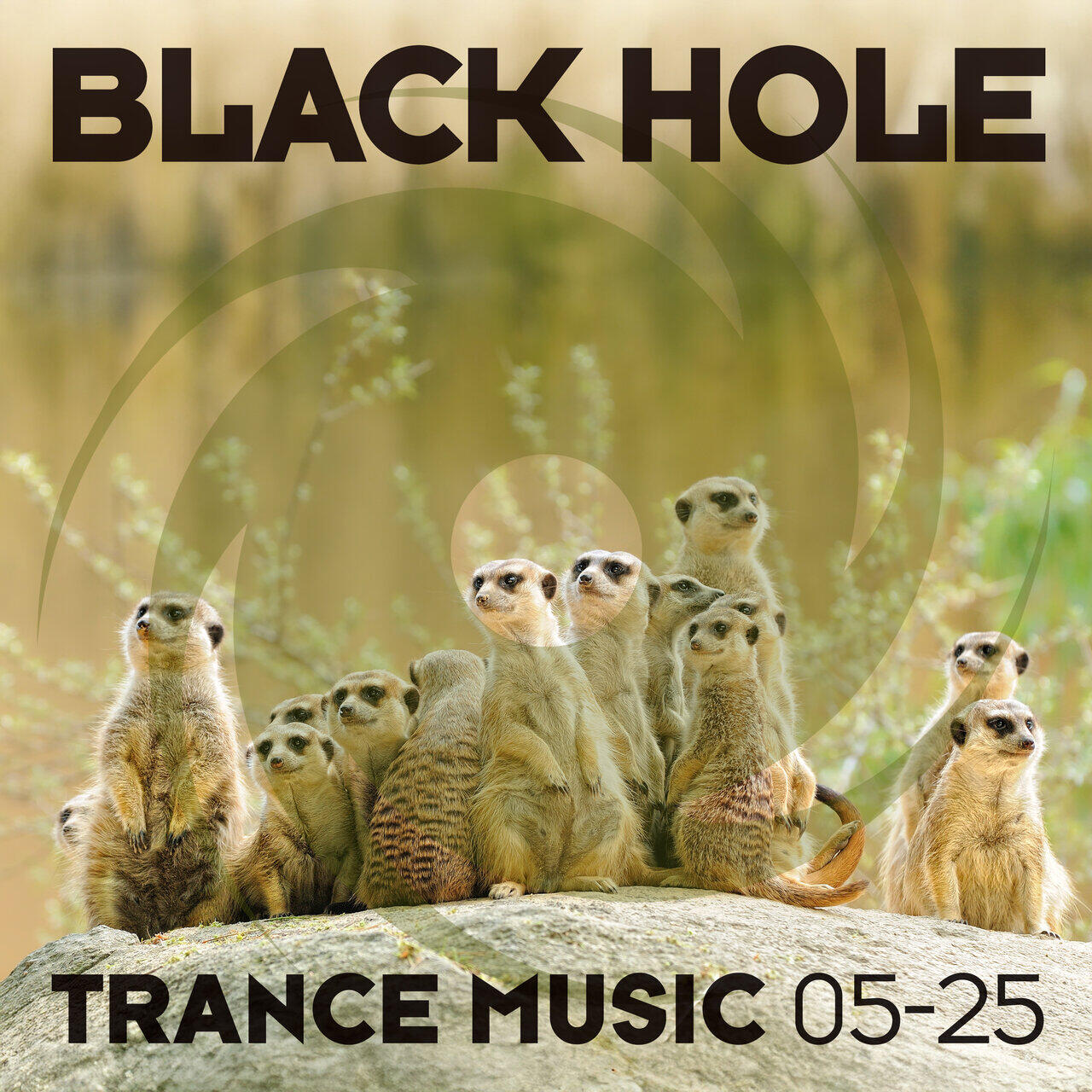 Релиз Black Hole Trance Music 05-25
