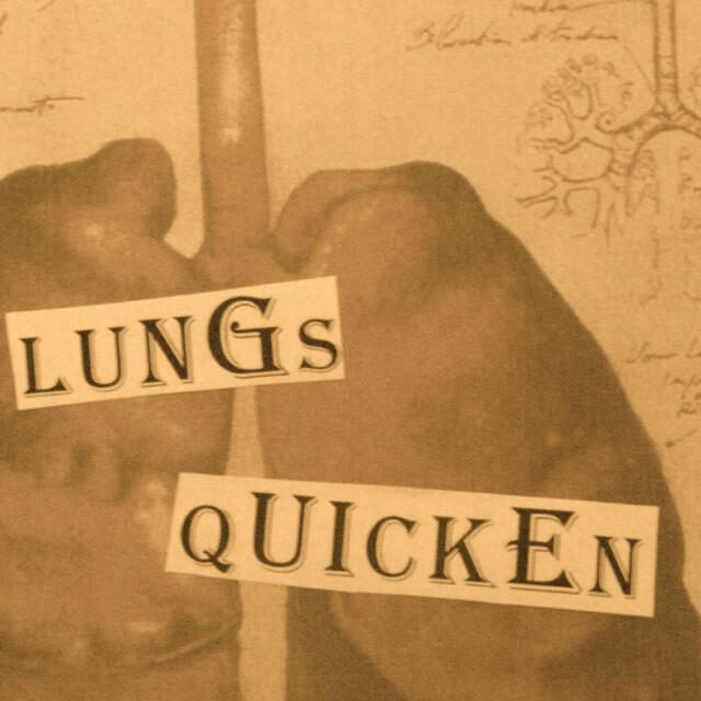 Релиз Lungs Quicken