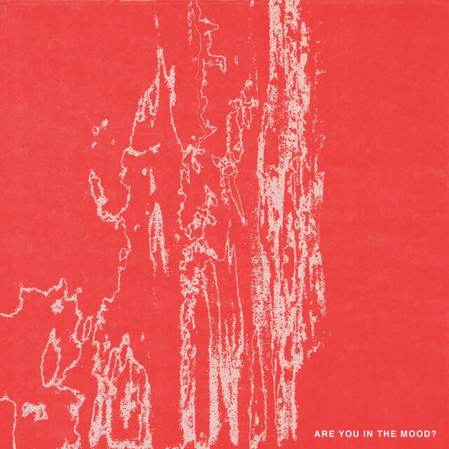 Релиз Are You In The Mood?