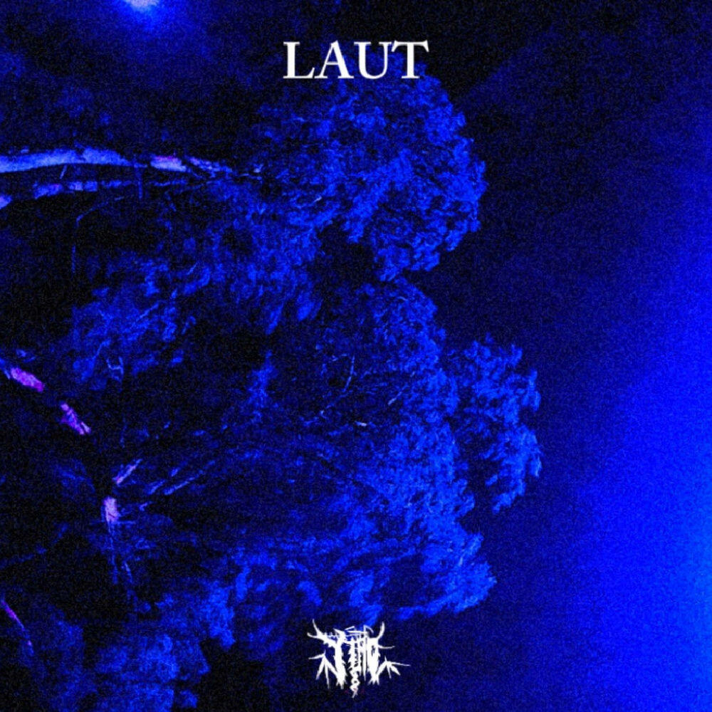 Релиз LAUT
