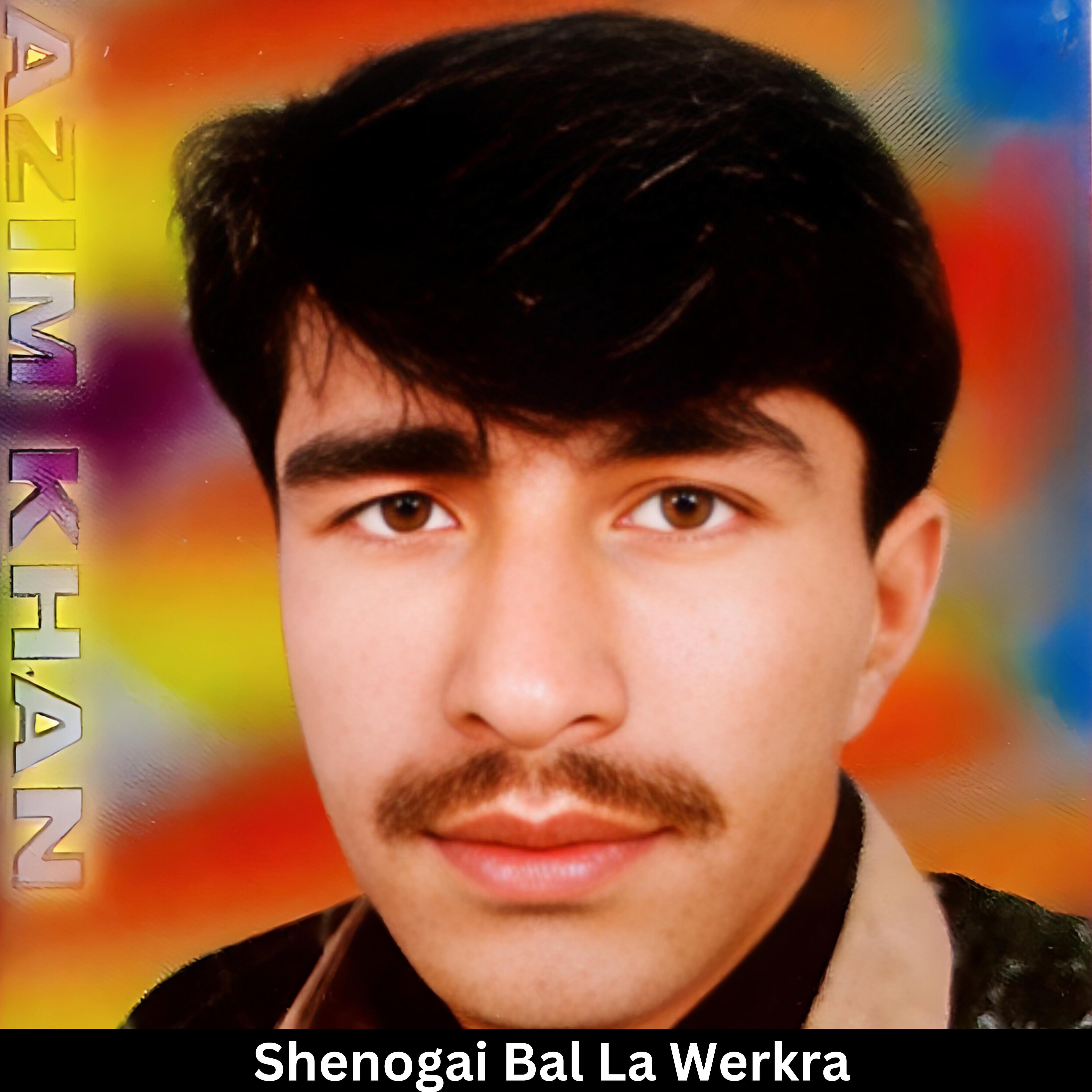 Релиз Shenogai Bal La Werkra