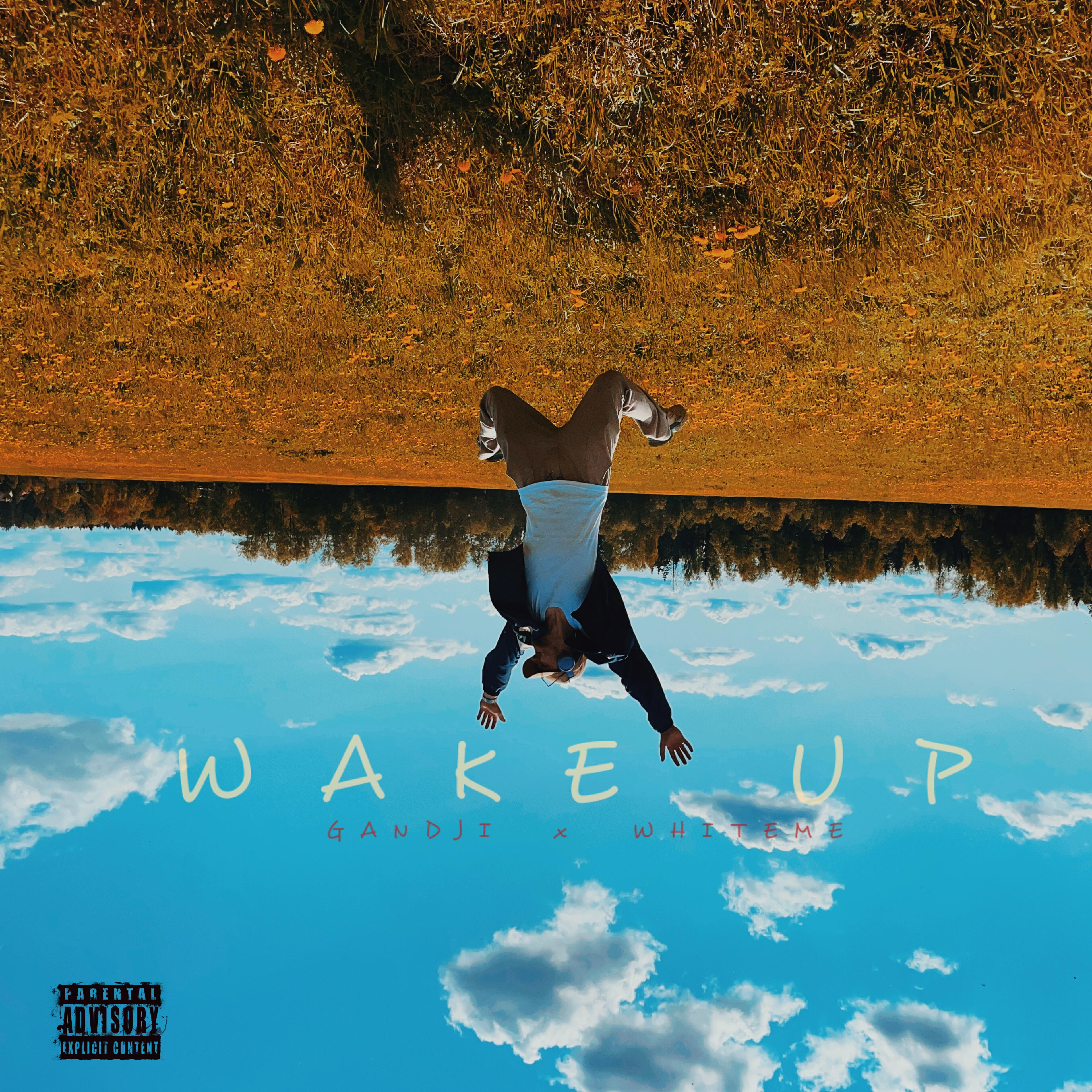 Релиз Wake up