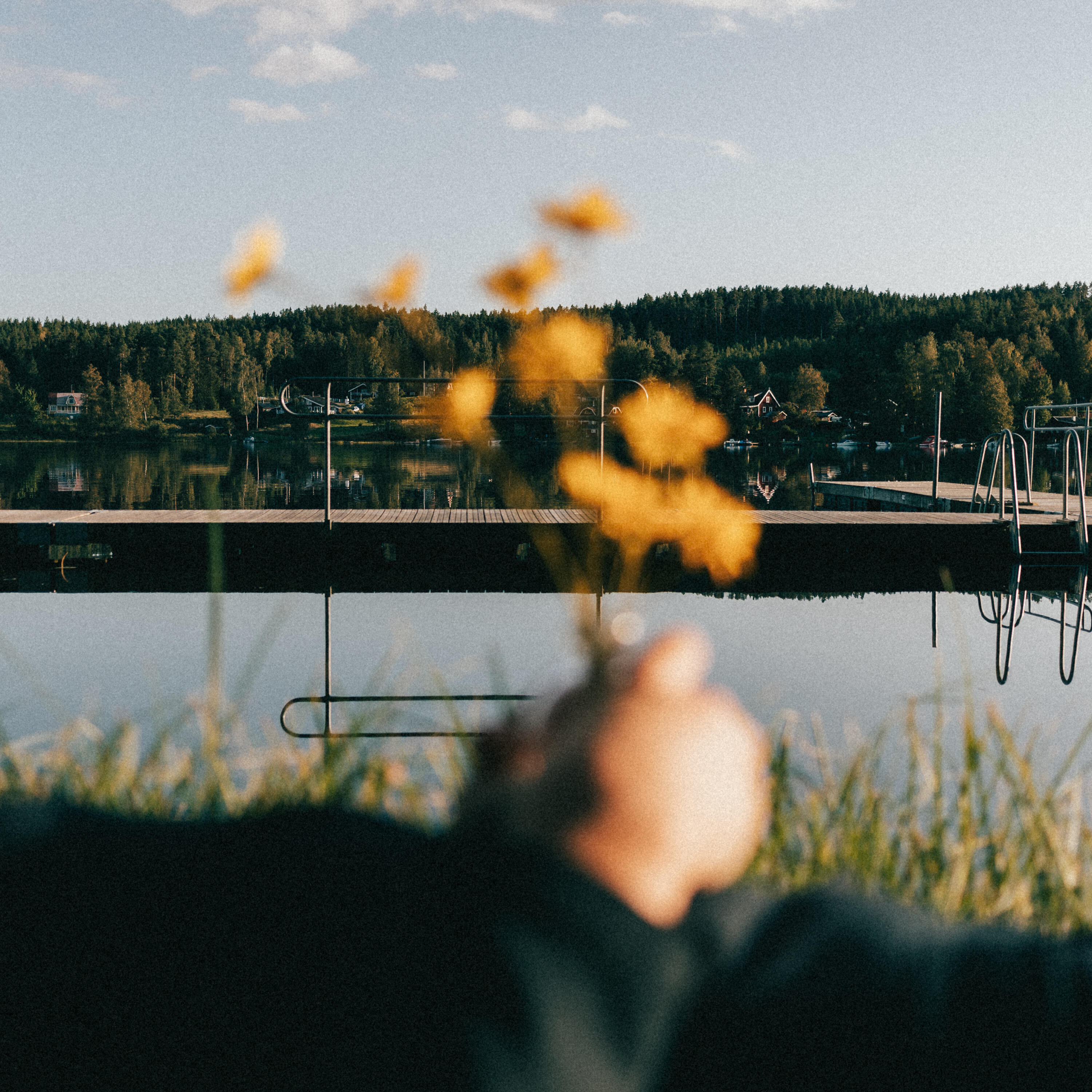 Релиз Den sista sommaren