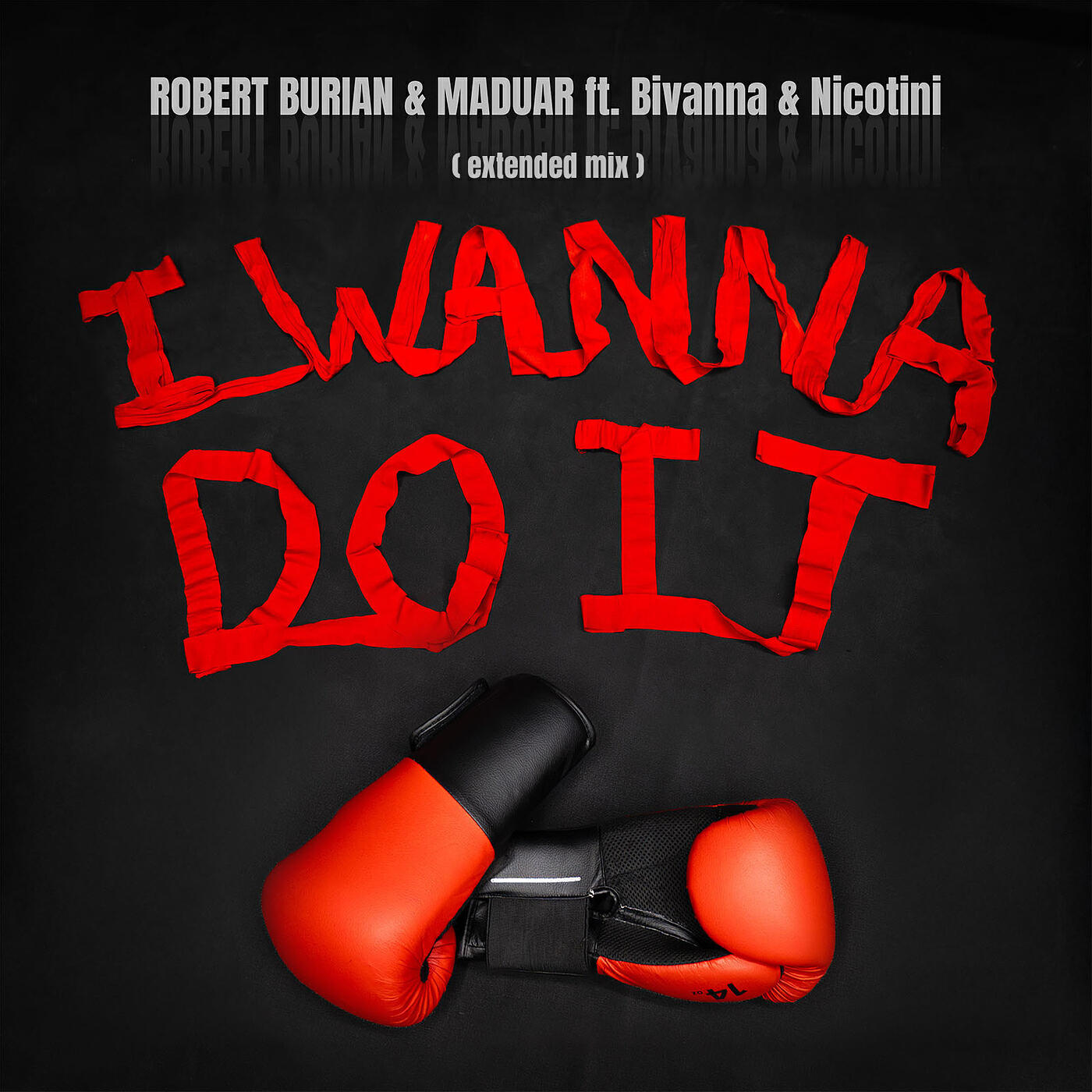 Релиз I Wanna Do It (Extended Mix)