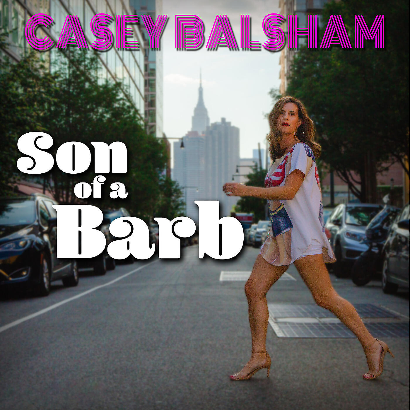 Релиз Son of a Barb
