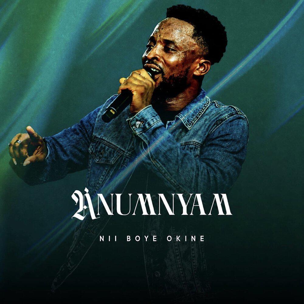 Nii Boye Okine
