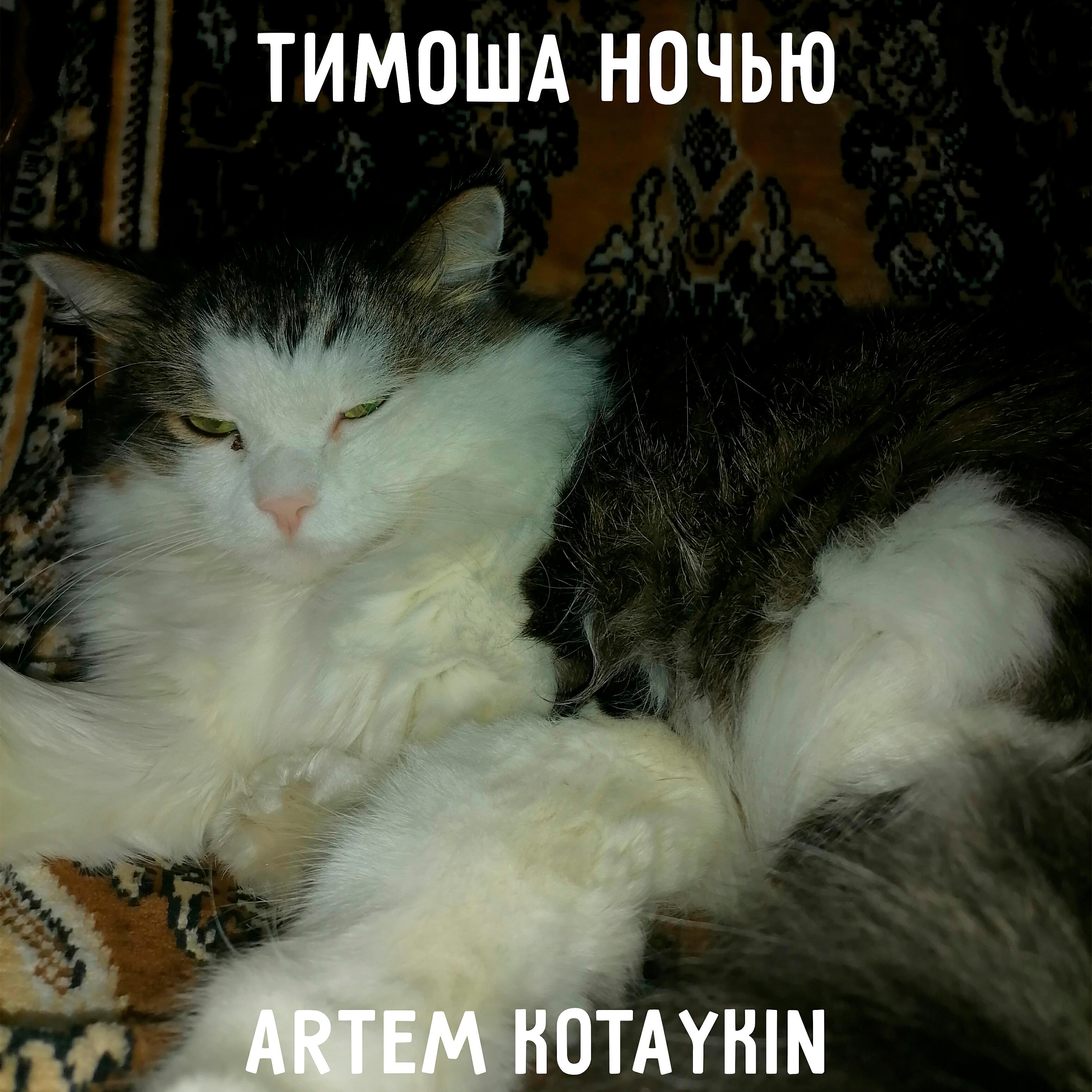 Artem Kotaykin