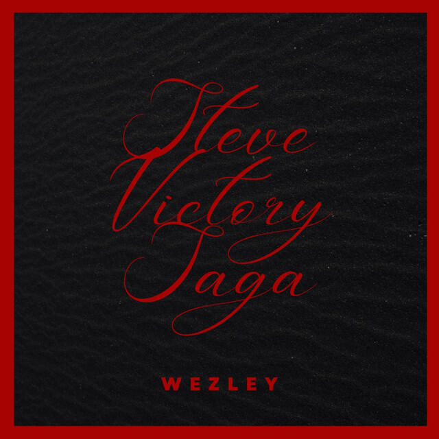 Релиз Steve Victory Saga