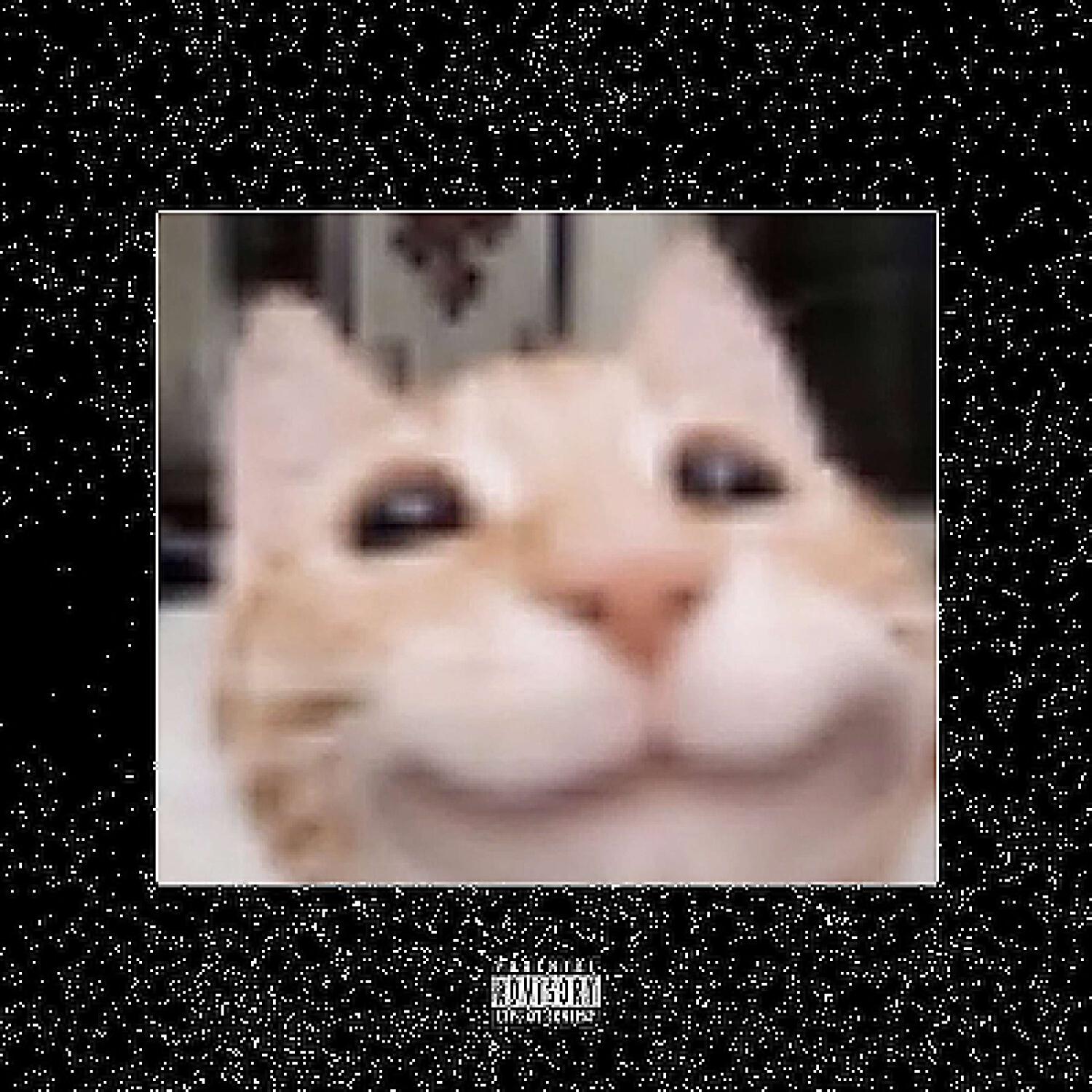 Релиз krush dat