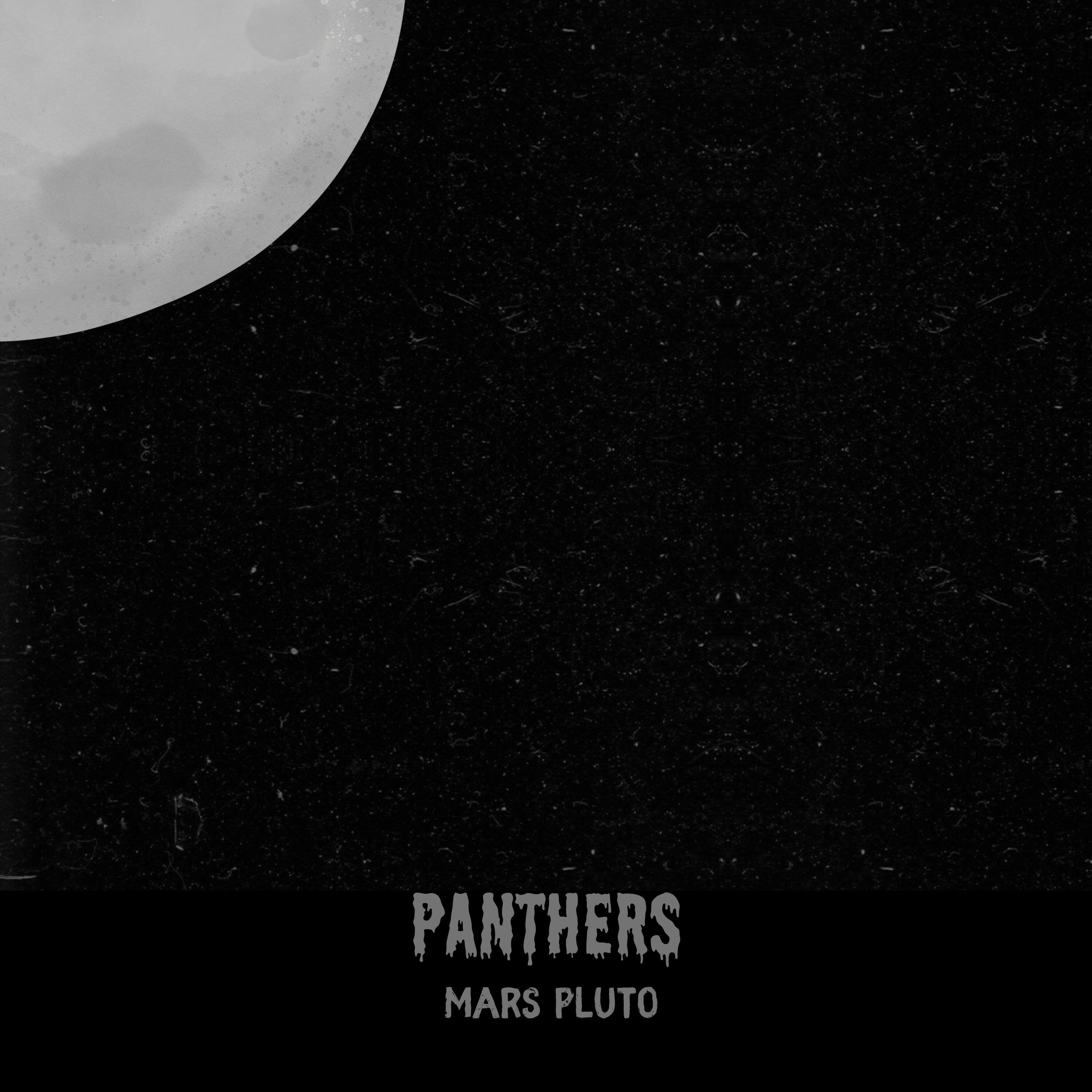 Релиз Panthers
