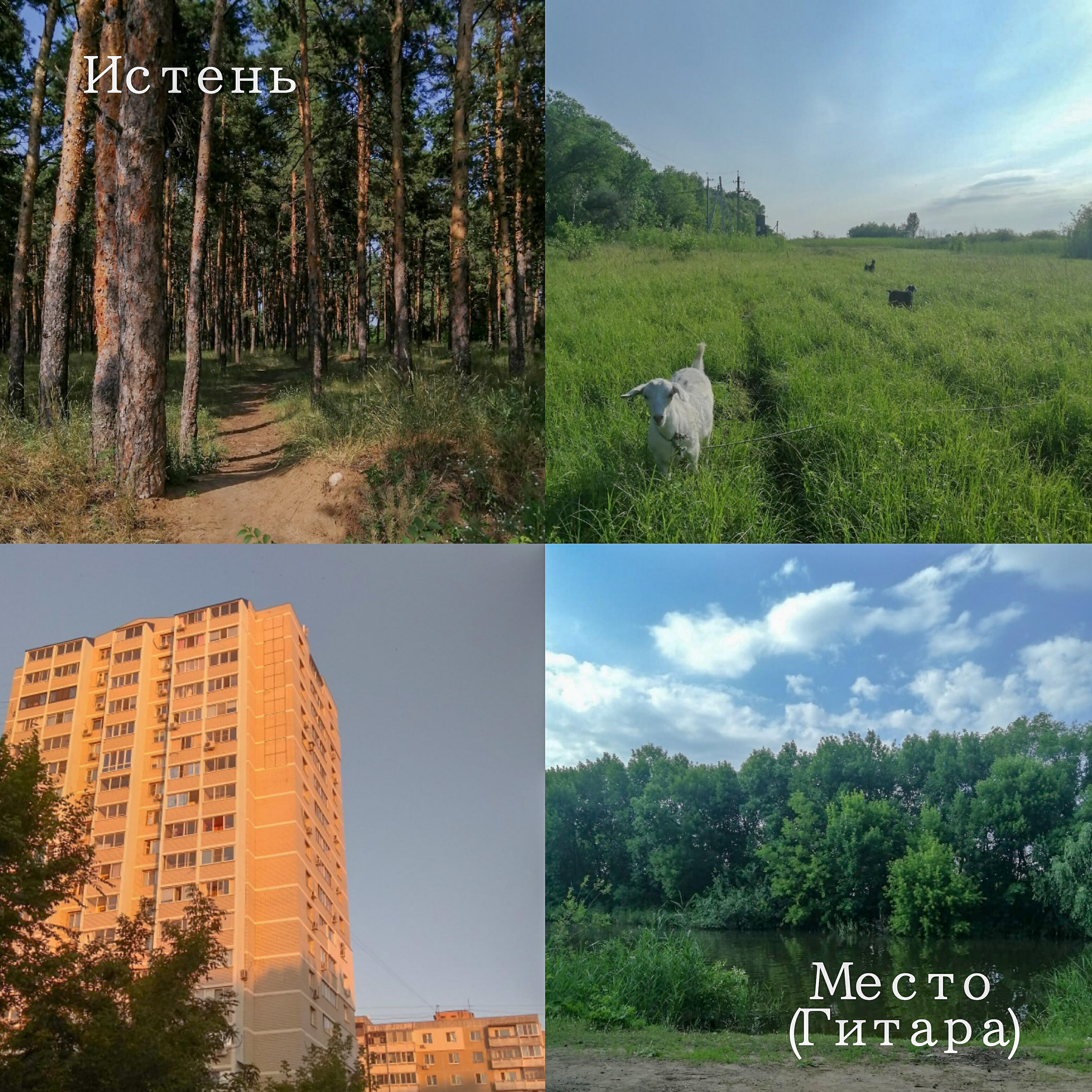 Релиз Место (Гитара)