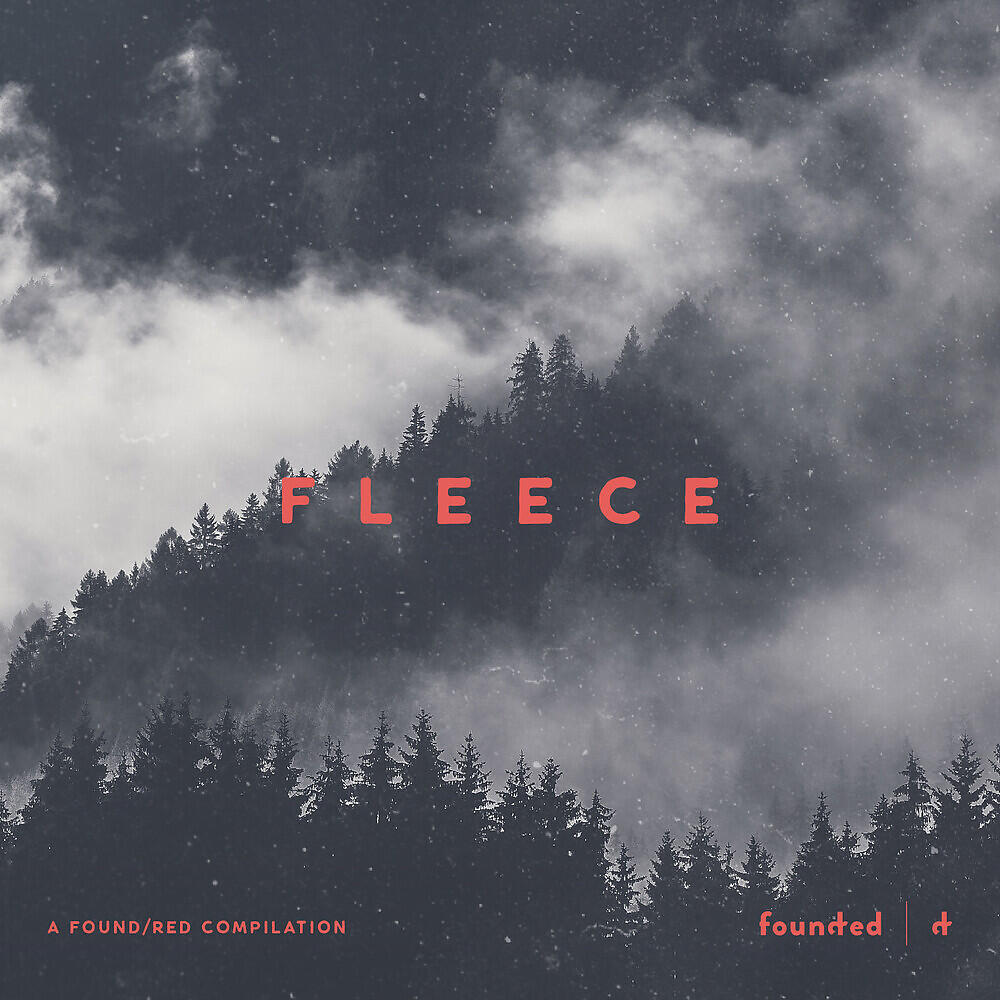 Релиз F L E E C E