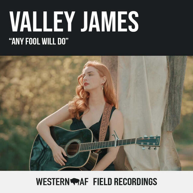 Релиз Any Fool Will Do (Western AF Version)
