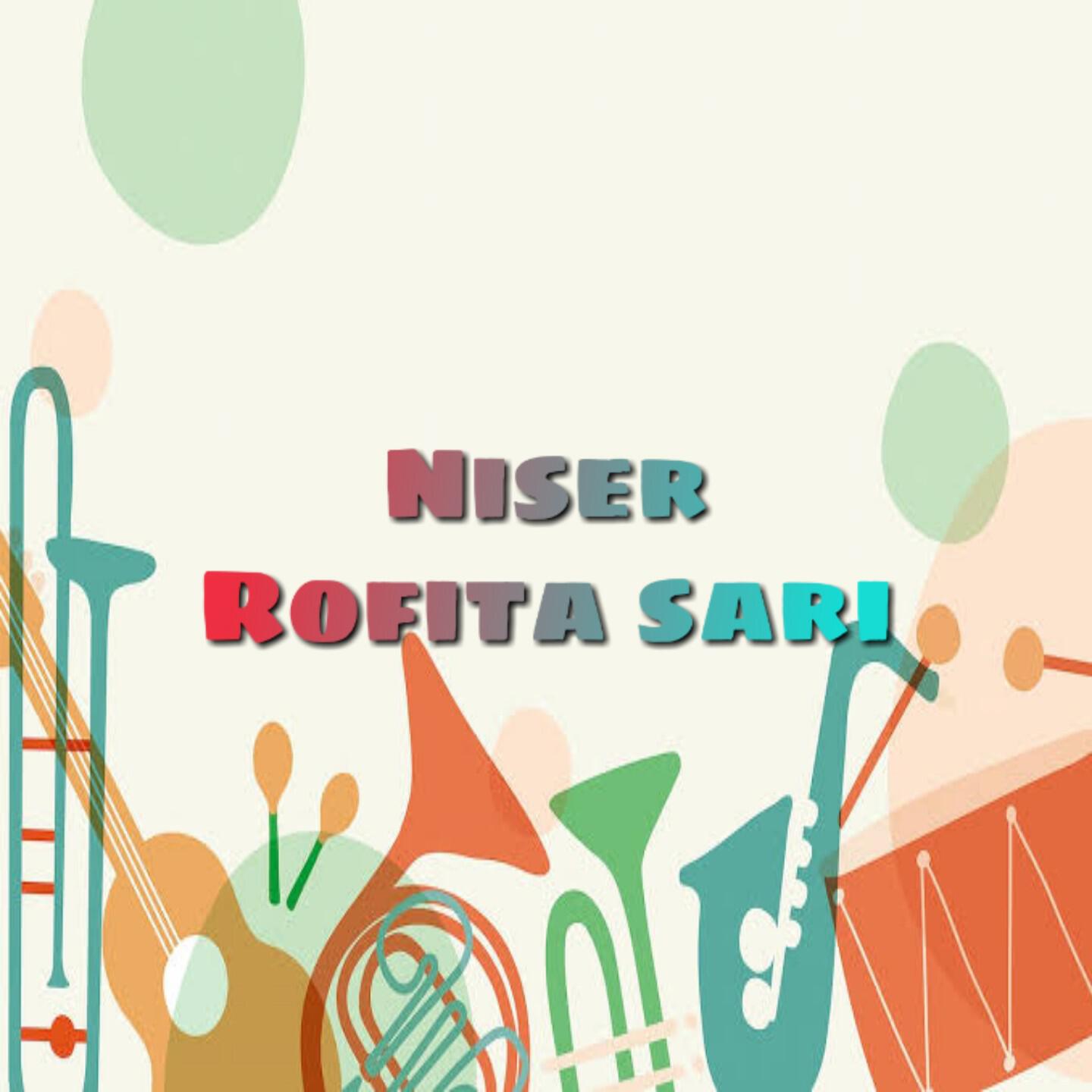 Релиз Niser